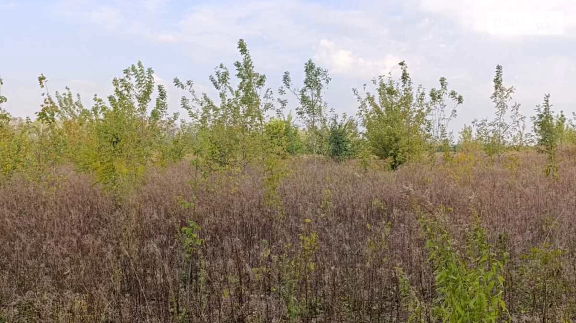 Продається земельна ділянка 10 соток у Вінницькій області, цена: 4000 $ - фото 2