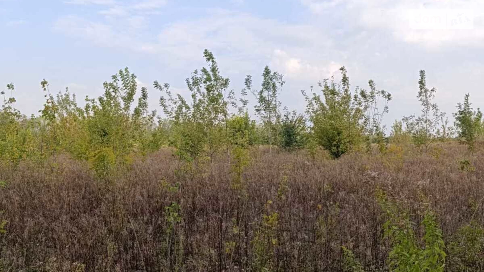 Продається земельна ділянка 10 соток у Вінницькій області, цена: 4000 $ - фото 3