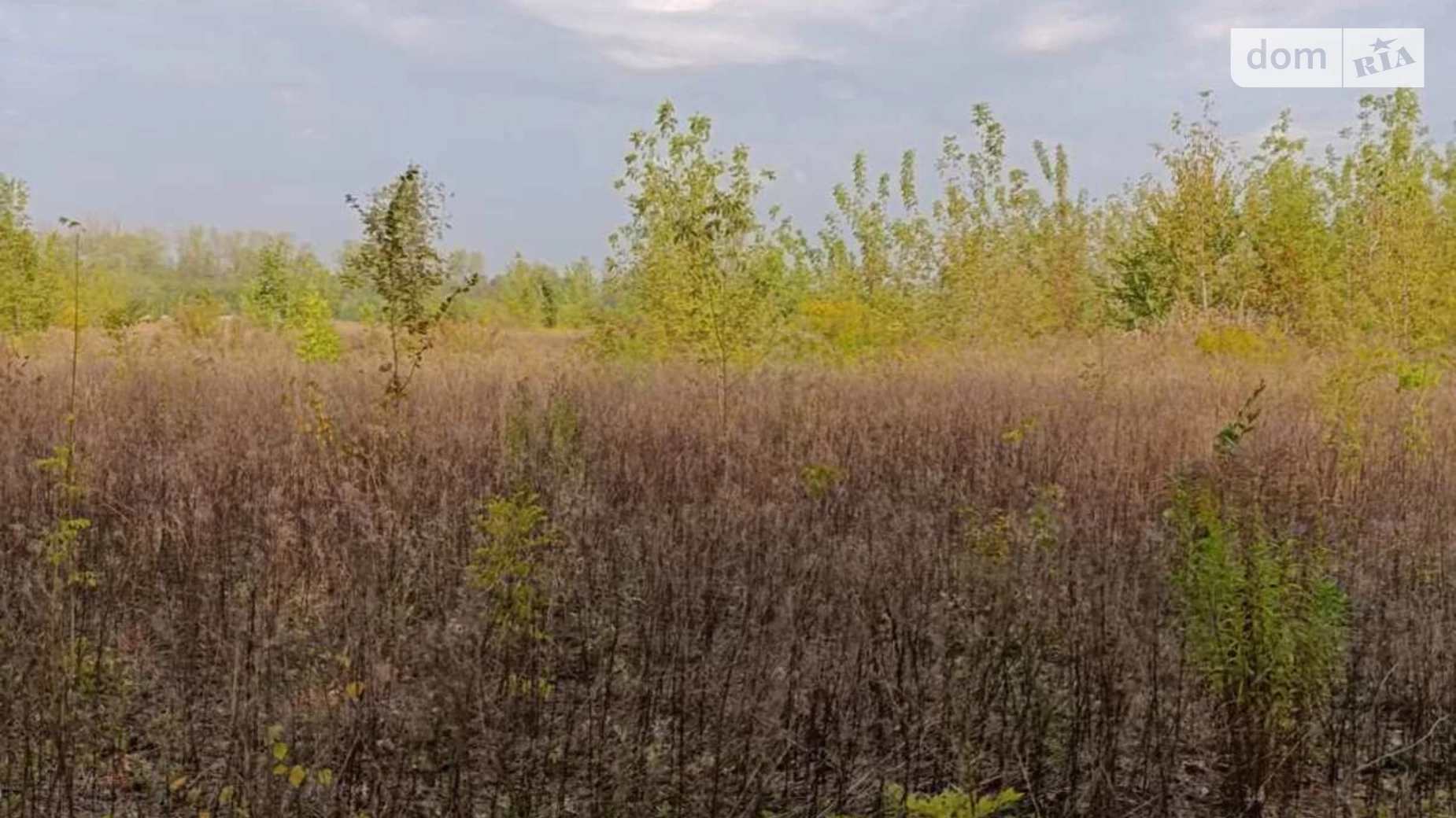 Продається земельна ділянка 10 соток у Вінницькій області, цена: 4000 $ - фото 4