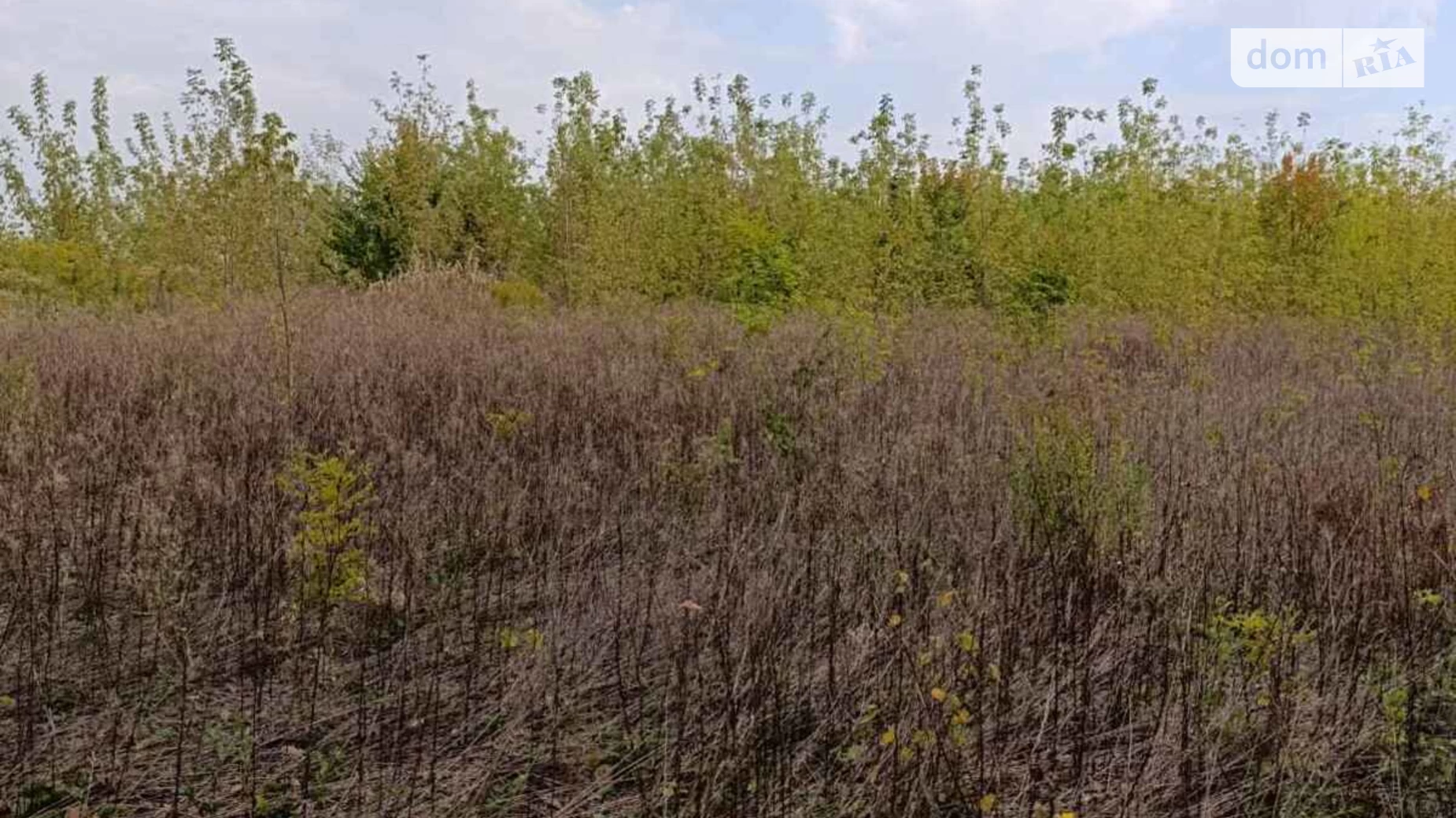 Продається земельна ділянка 10 соток у Вінницькій області, цена: 4000 $ - фото 5