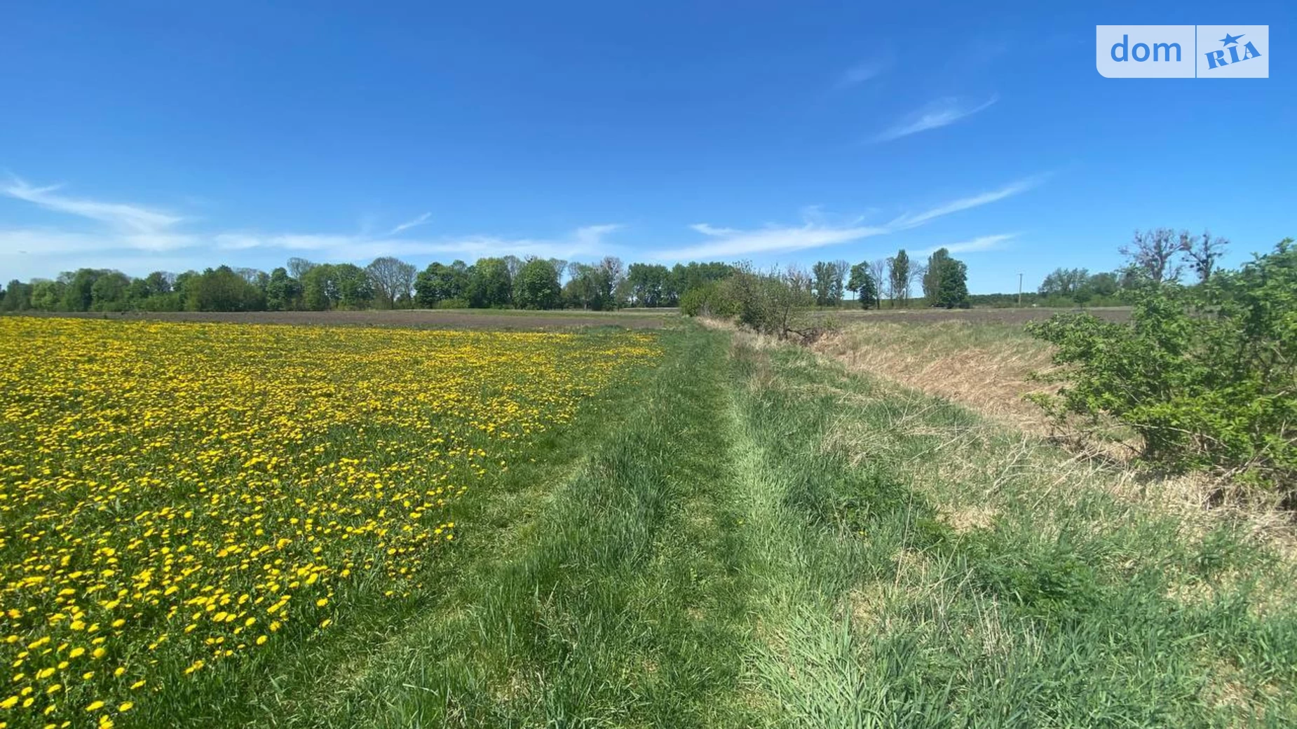 Продається земельна ділянка 10 соток у Вінницькій області, цена: 7000 $ - фото 5