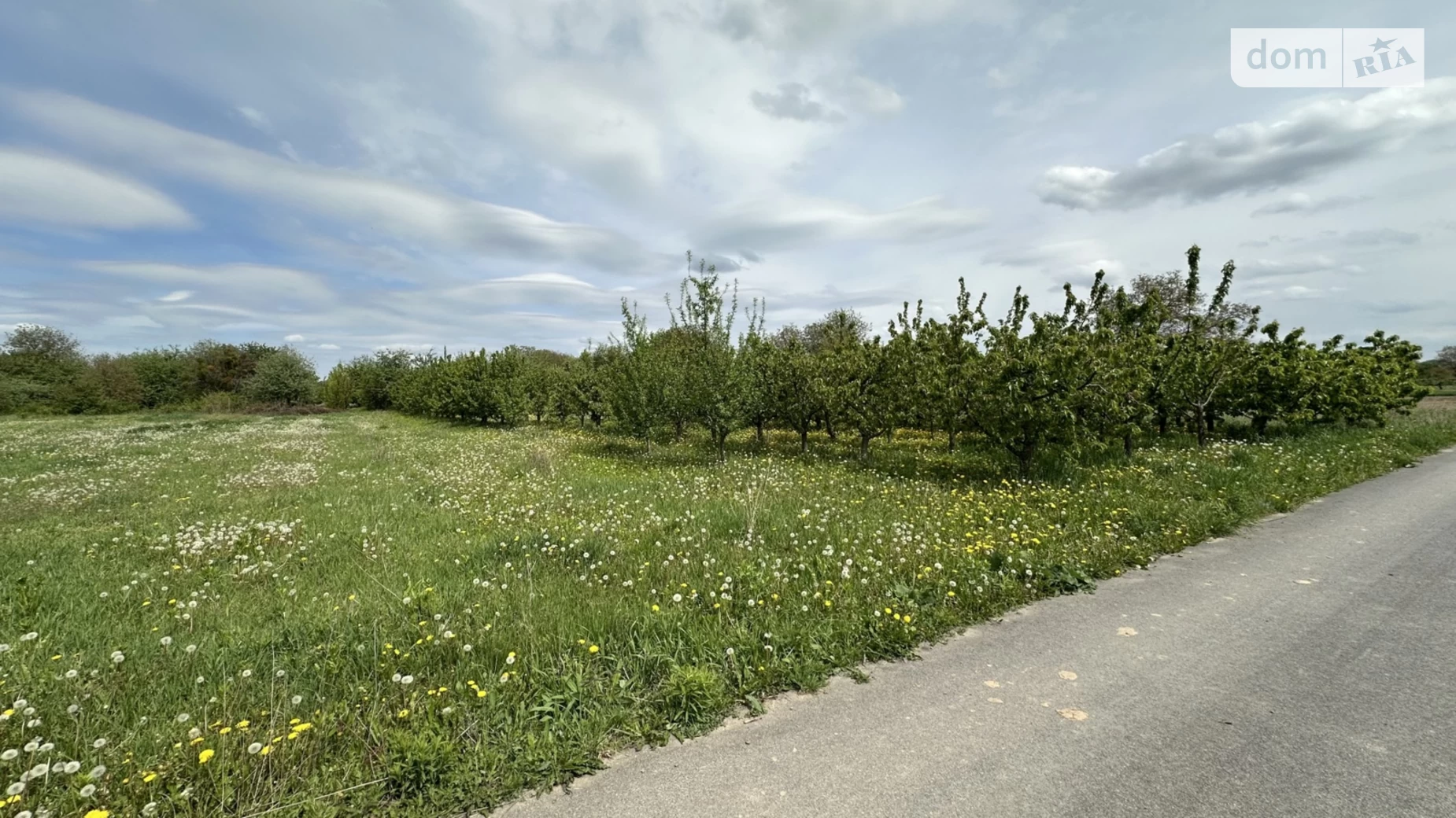 Продається земельна ділянка 25 соток у Вінницькій області, цена: 75000 $ - фото 2