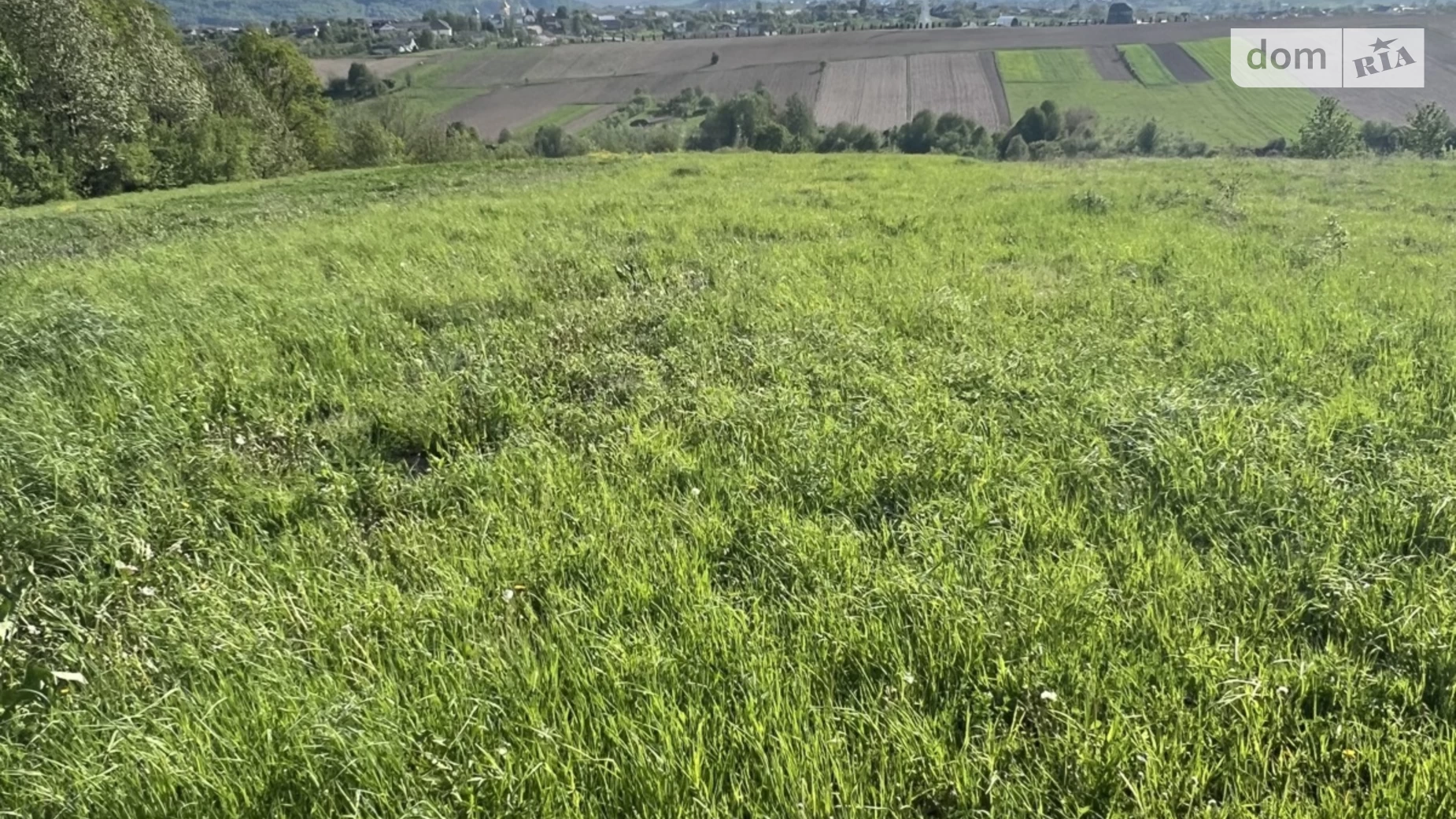 Продається земельна ділянка 15 соток у Івано-Франківській області, цена: 22500 $ - фото 3