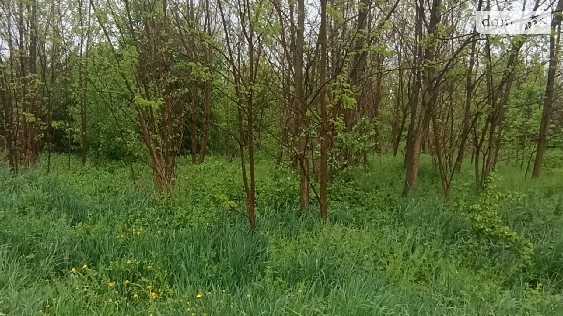 Продається земельна ділянка 15 соток у Вінницькій області, цена: 25000 $ - фото 4