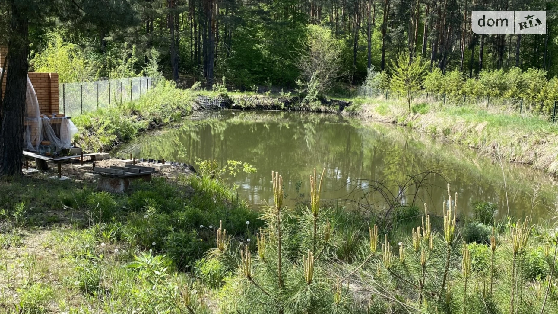 Продается земельный участок 11 соток в Житомирской области, цена: 40000 $ - фото 2