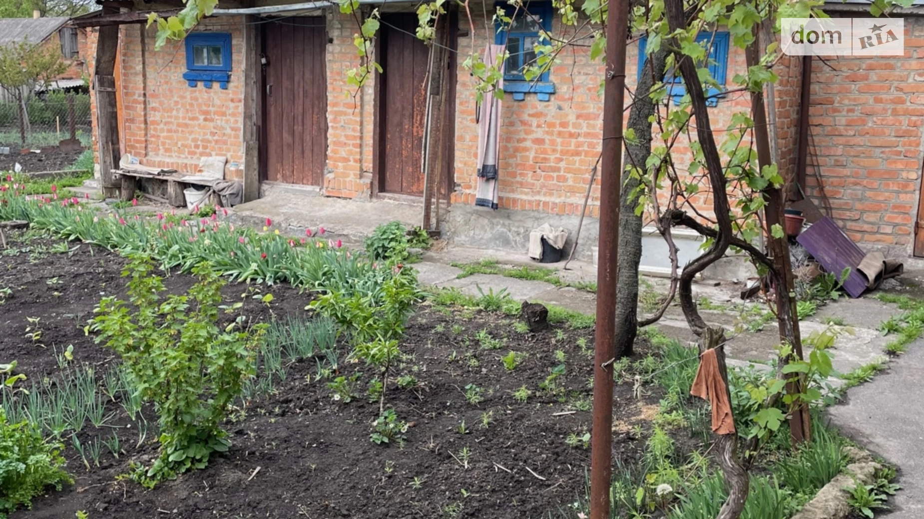 Продається одноповерховий будинок 63 кв. м з верандою, цена: 32000 $ - фото 2