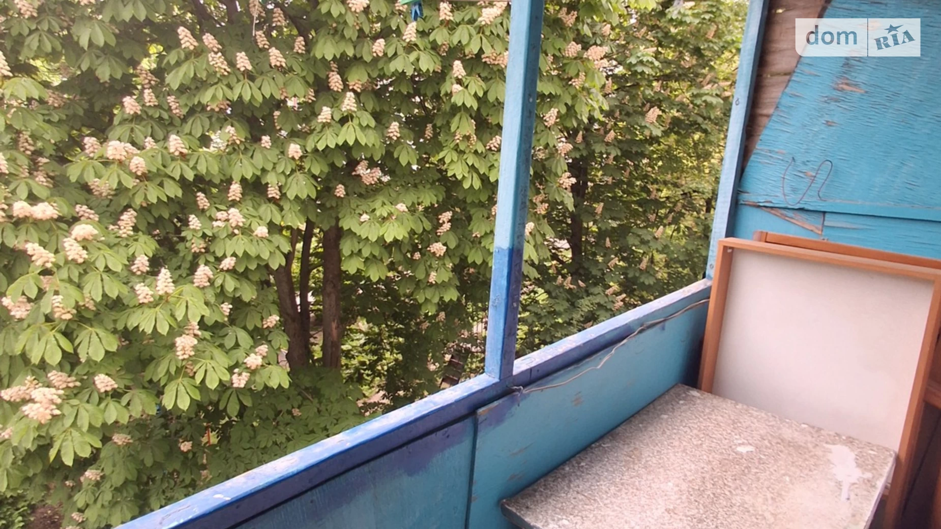 Сдается в аренду 1-комнатная квартира 31 кв. м в Белой Церкви, ул. Гаек - фото 5