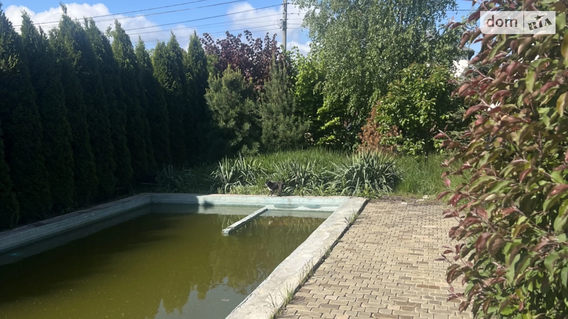 Продається будинок 3 поверховий 280 кв. м с басейном, цена: 210000 $ - фото 3
