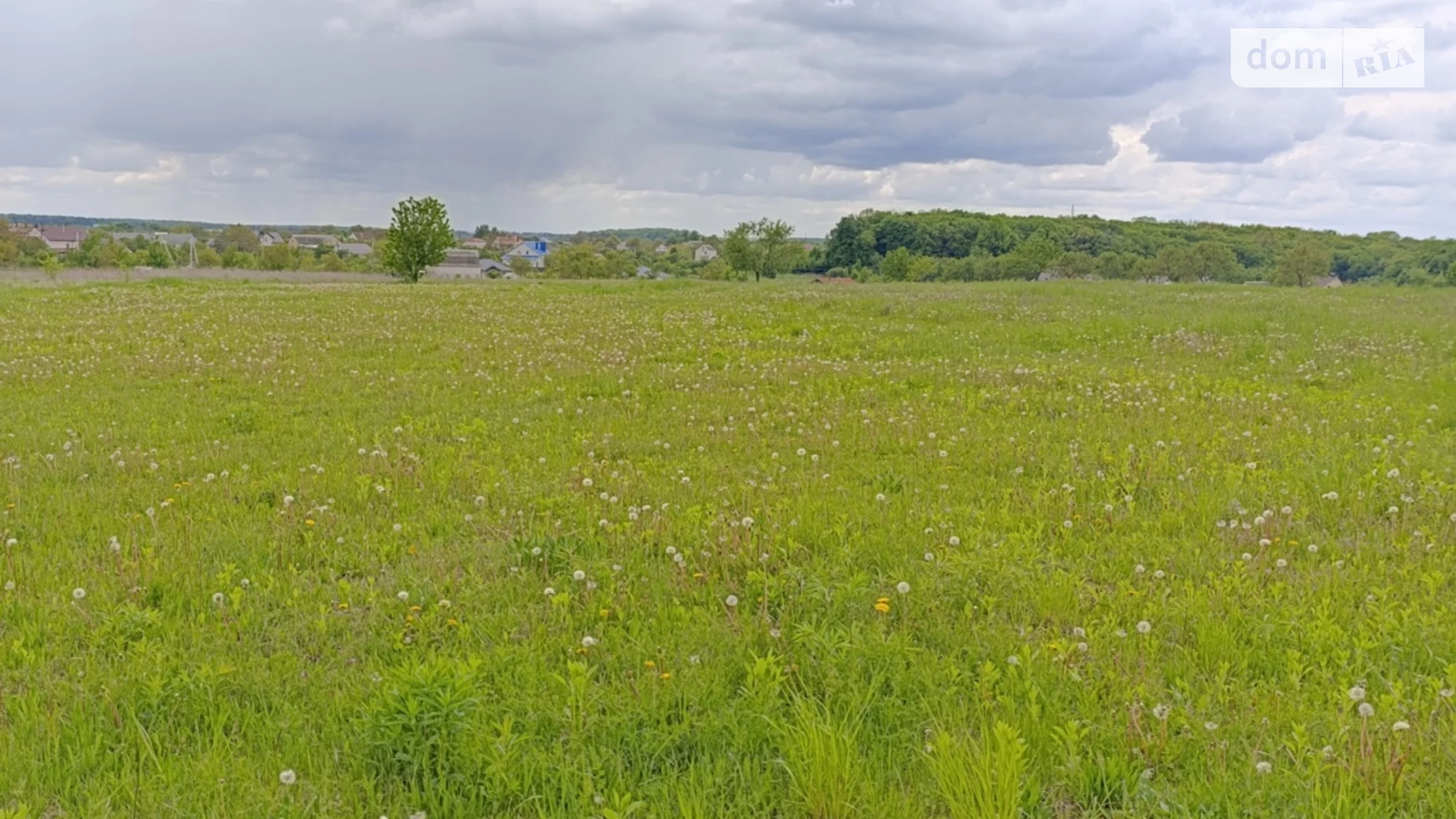 Продается земельный участок 20 соток в Винницкой области, цена: 17000 $ - фото 2