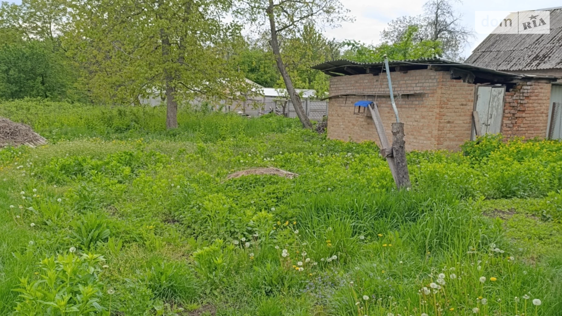 Лука-Мелешківська, цена: 30000 $ - фото 5