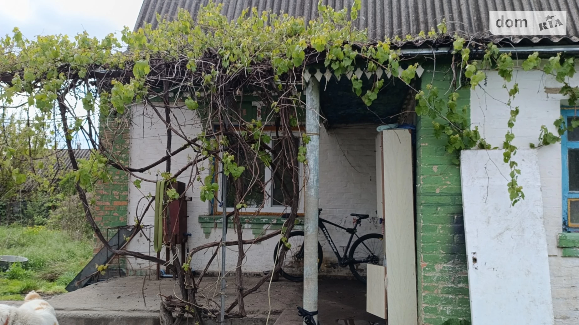 ул. Набережная вулиця Трушки, цена: 65000 $ - фото 4