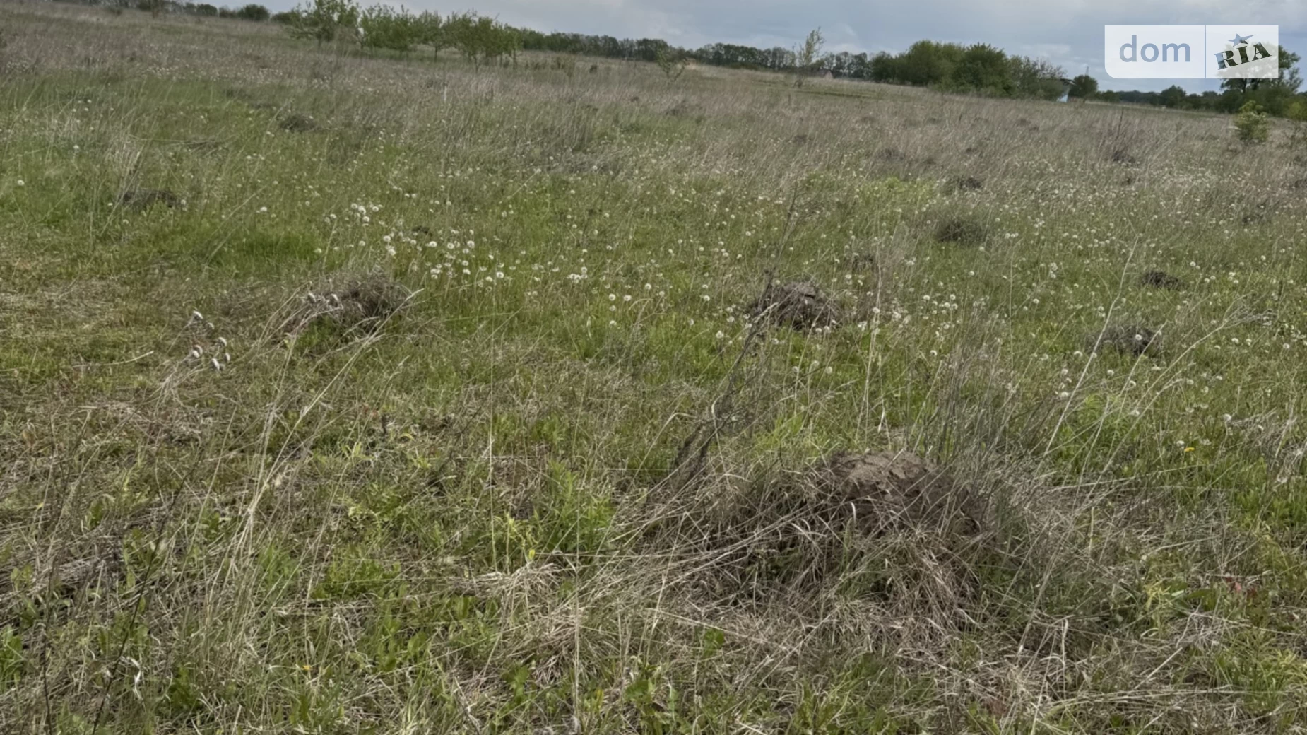 Продається земельна ділянка 6 соток у Вінницькій області, цена: 13500 $ - фото 4