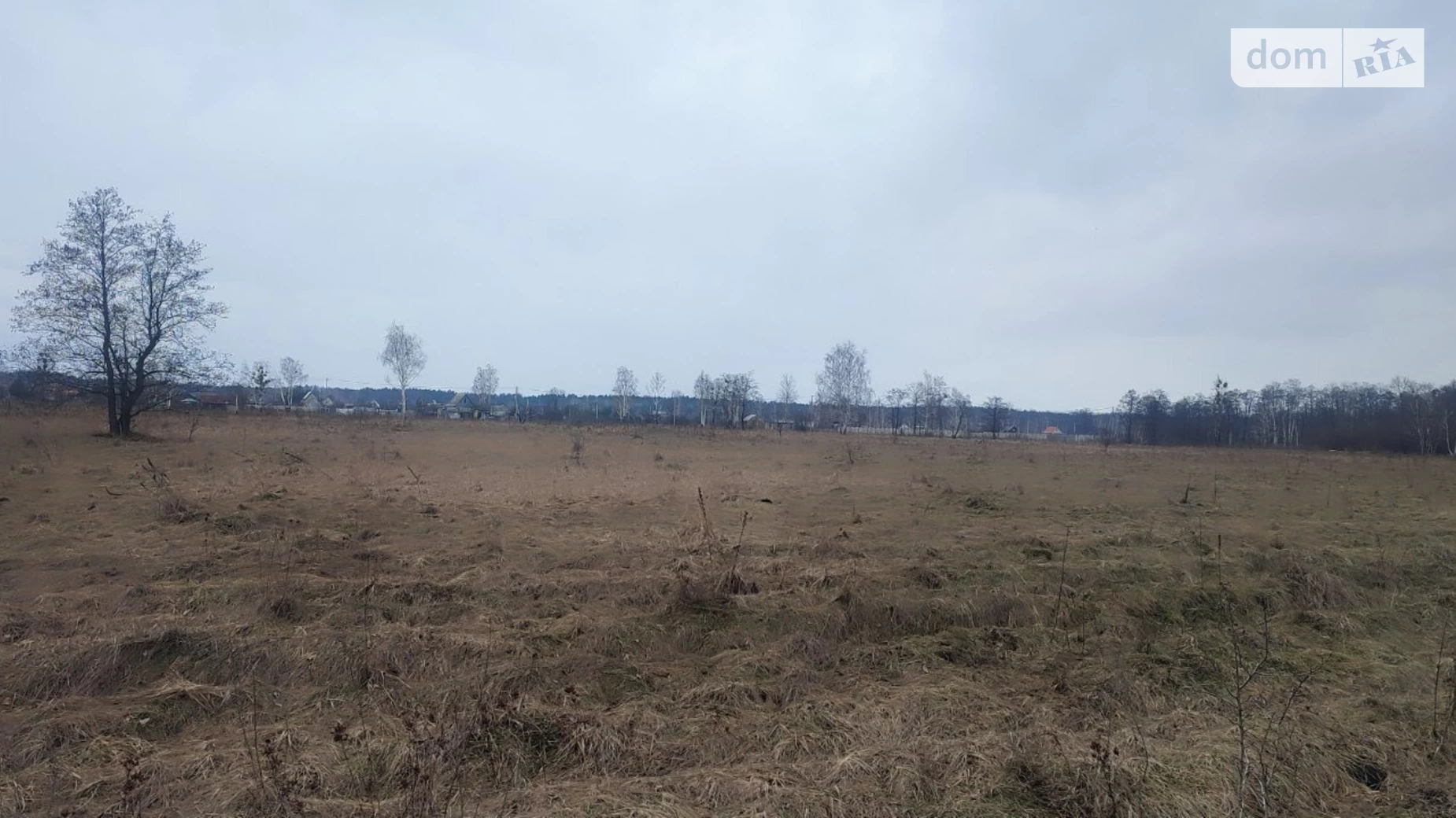 Сувид, цена: 4000 $ - фото 2