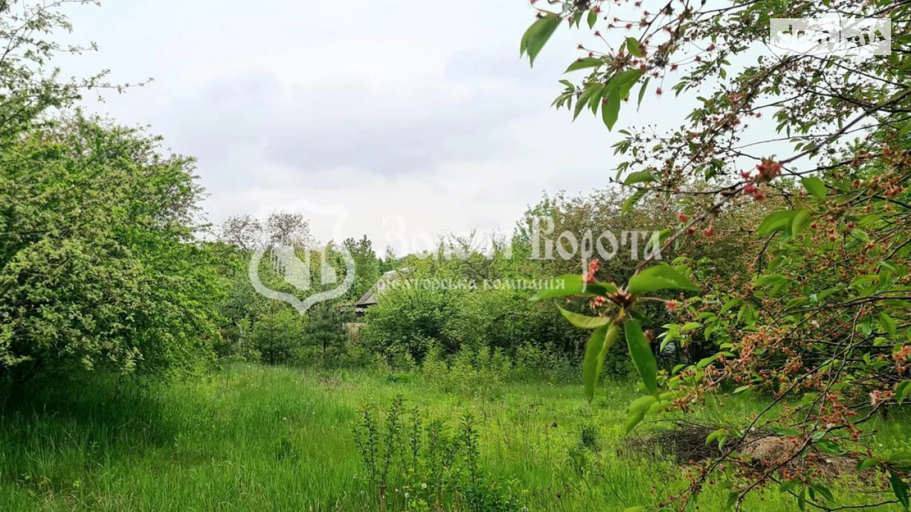 СТ "Покутівщина"  5-та лінія, 6 Кожанка, цена: 8500 $ - фото 5