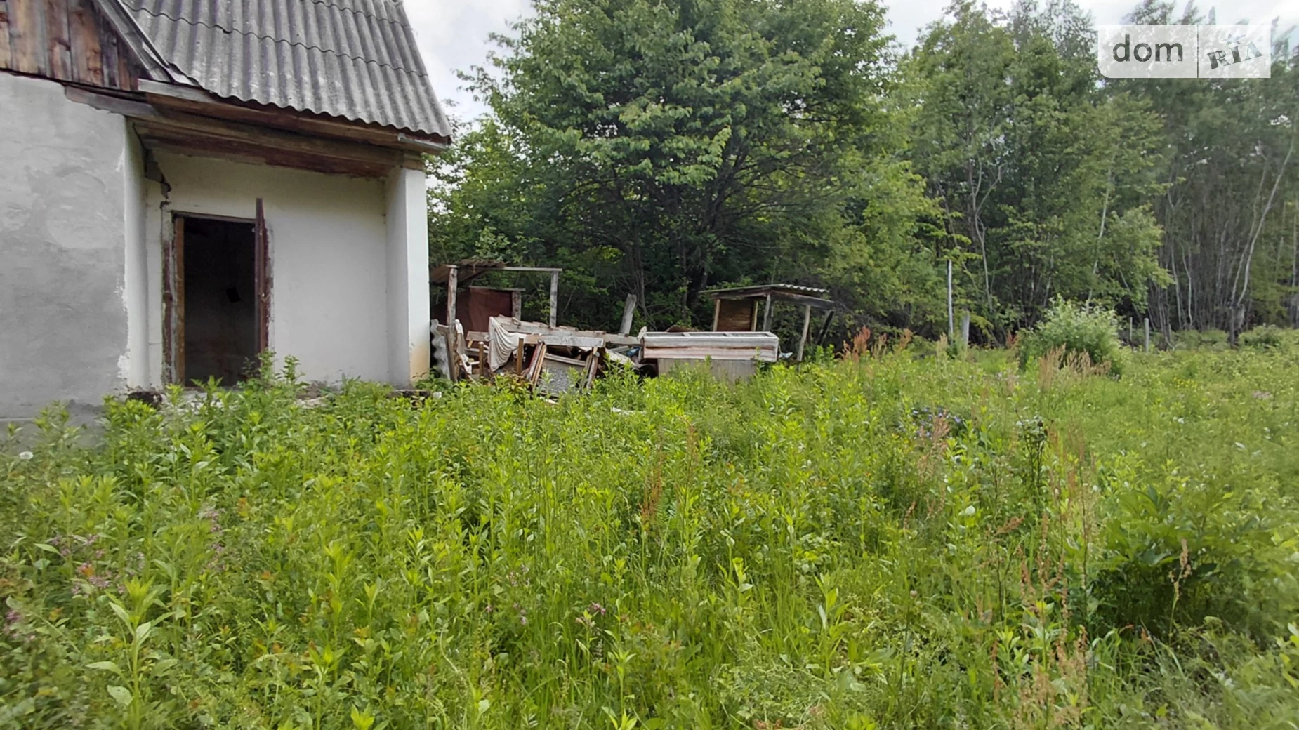Барвінок, цена: 5000 $ - фото 3