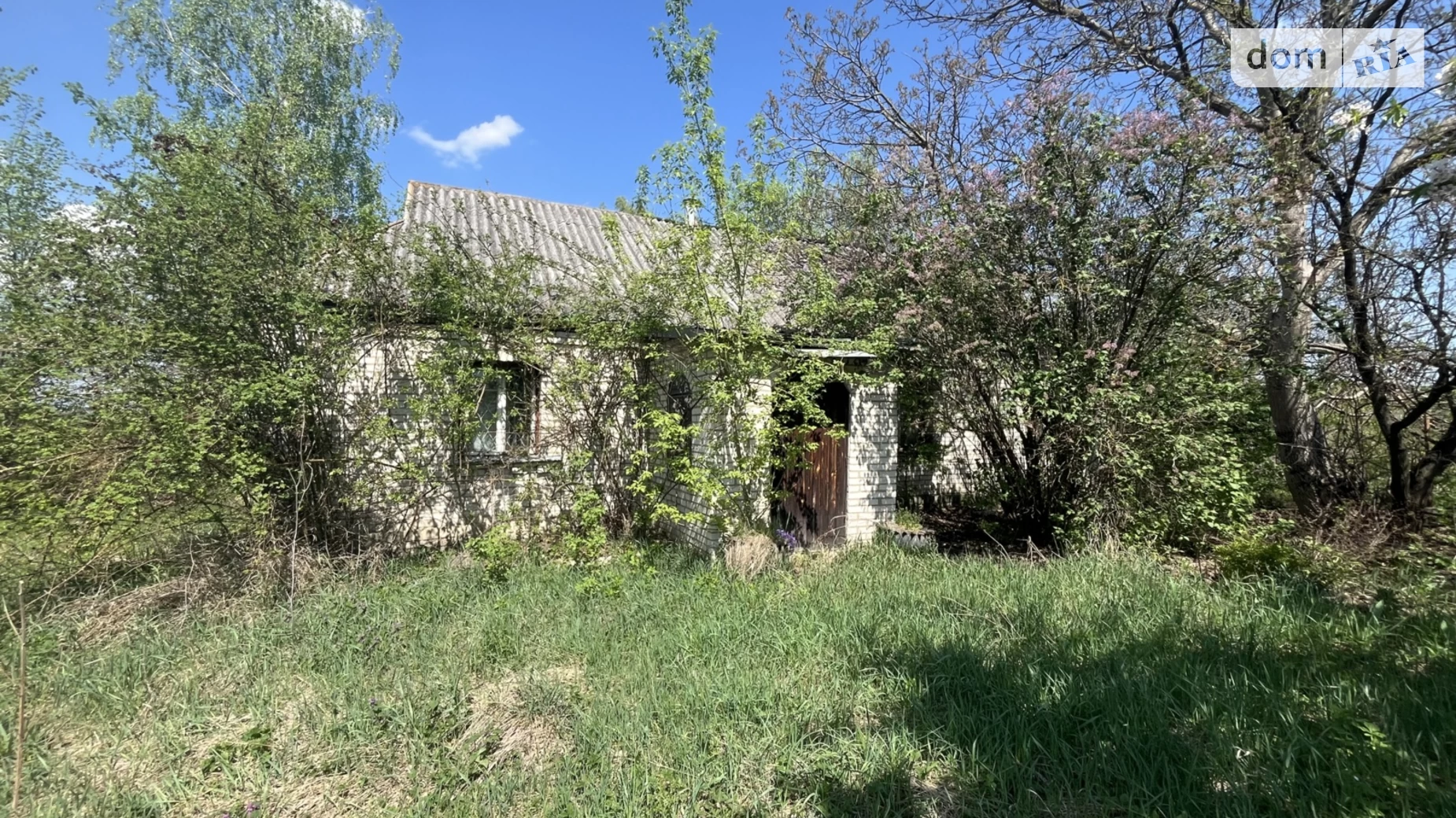 Продается одноэтажный дом 100 кв. м с беседкой, цена: 23000 $ - фото 4