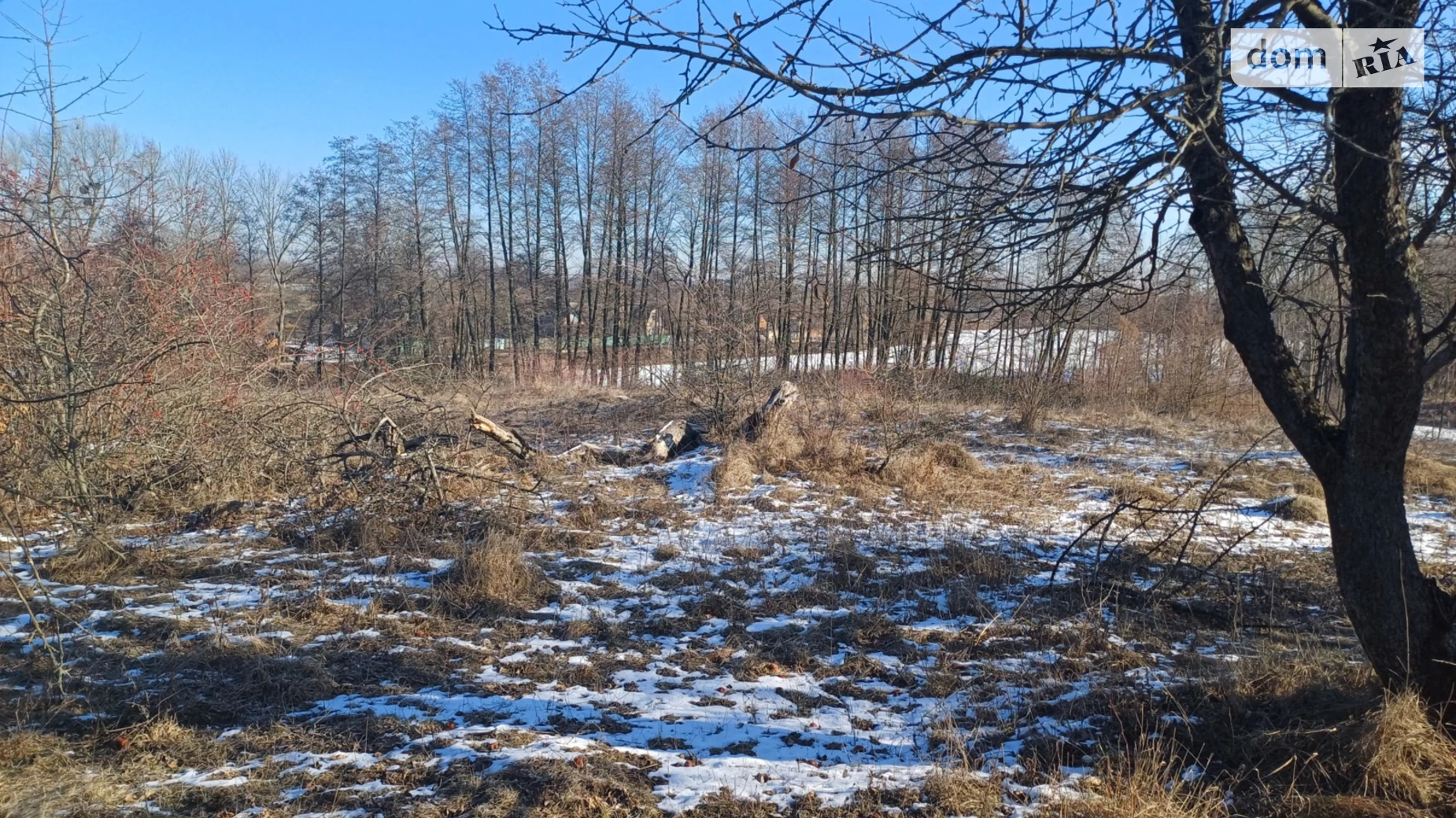 Великі Крушлинці, цена: 2800 $ - фото 3