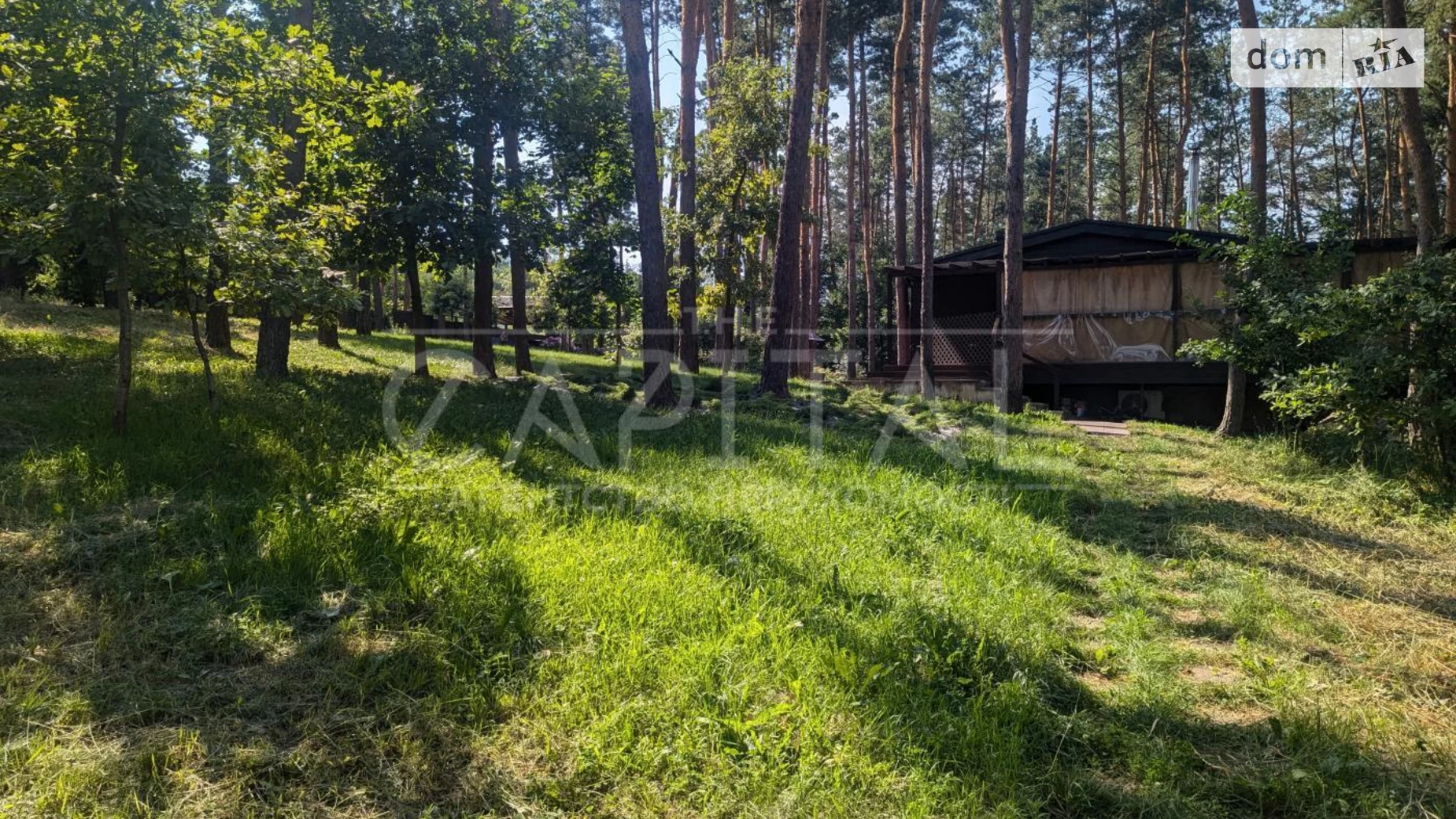 Продается одноэтажный дом 127 кв. м с баней/сауной, цена: 305000 $ - фото 3