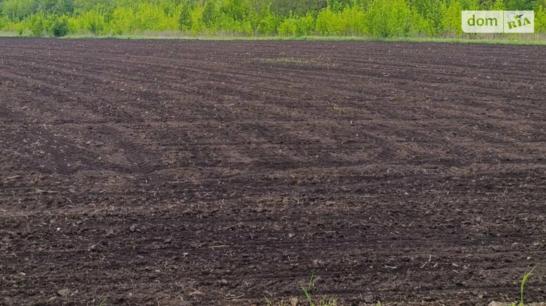 Продається земельна ділянка 10 соток у Вінницькій області, цена: 2999 $ - фото 3