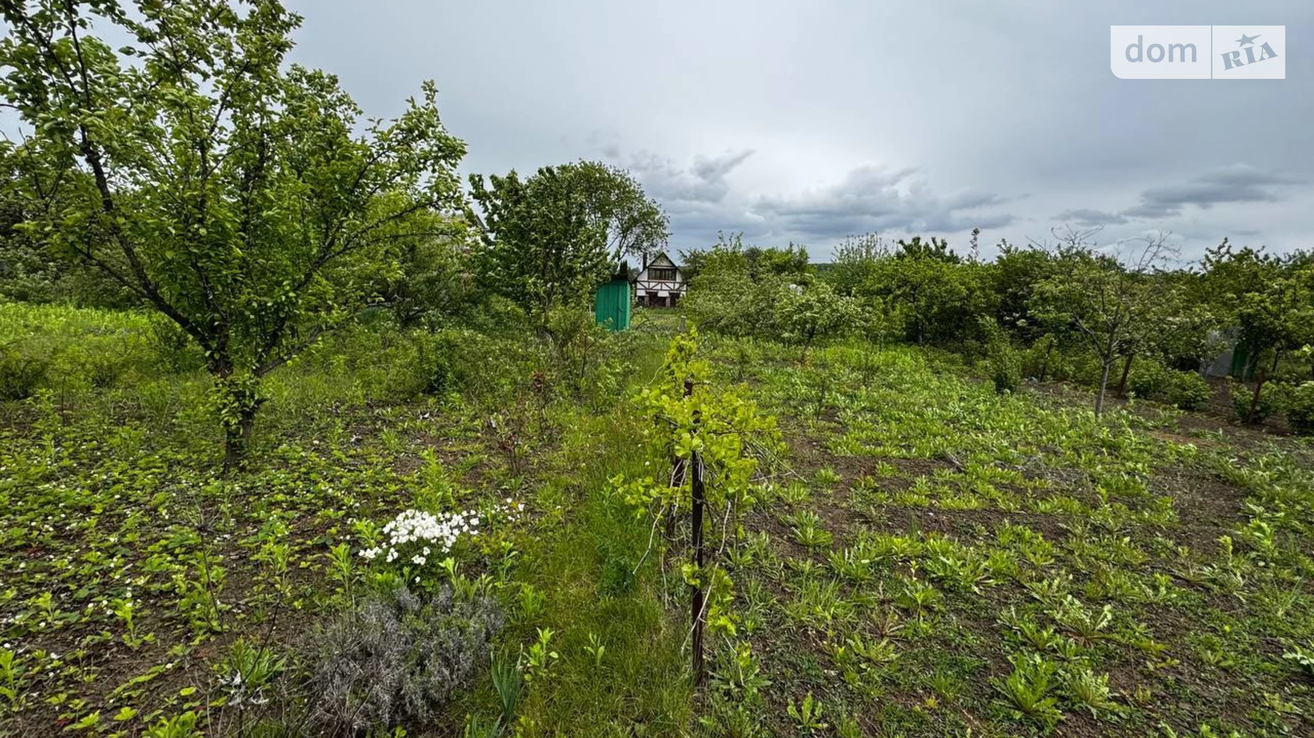 Давидківці, цена: 9000 $ - фото 3