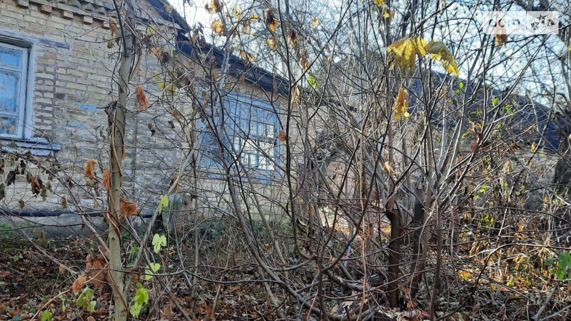 пер. Табачный Иванковичи, цена: 55555 $ - фото 4