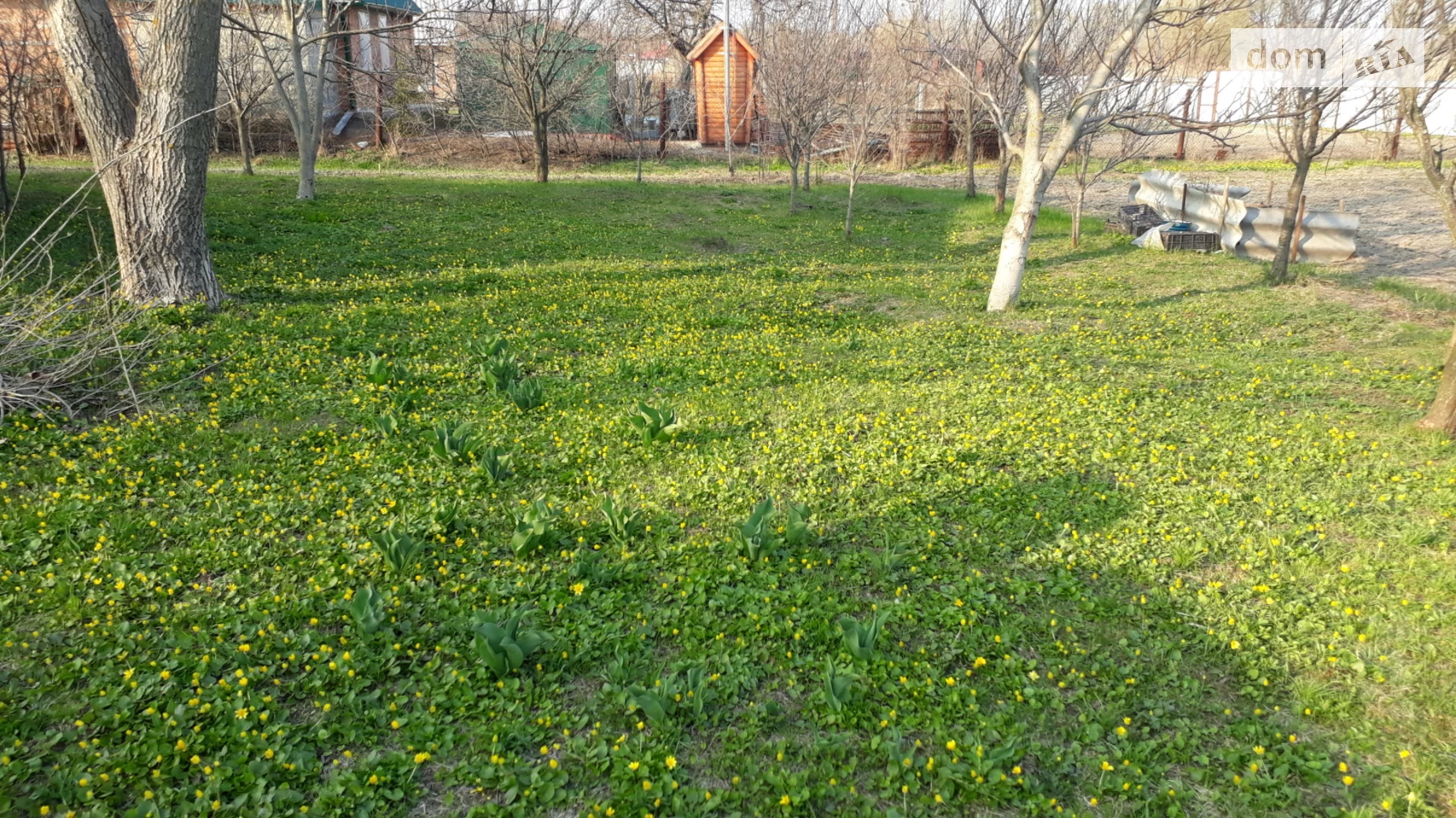 Продається земельна ділянка 35 соток у Полтавській області, цена: 35000 $ - фото 2