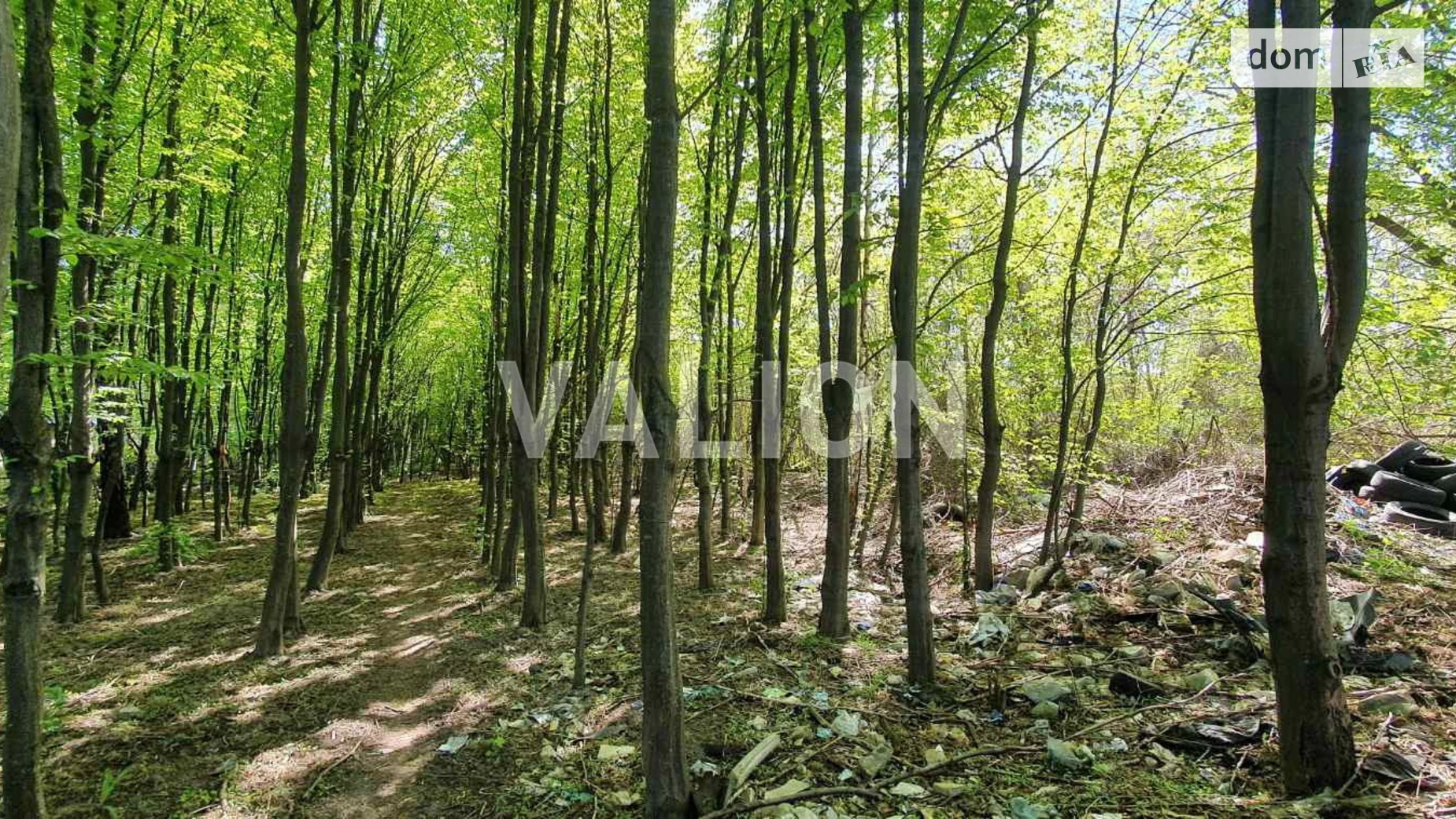 Продається земельна ділянка 30 соток у Київській області, цена: 430000 $ - фото 2