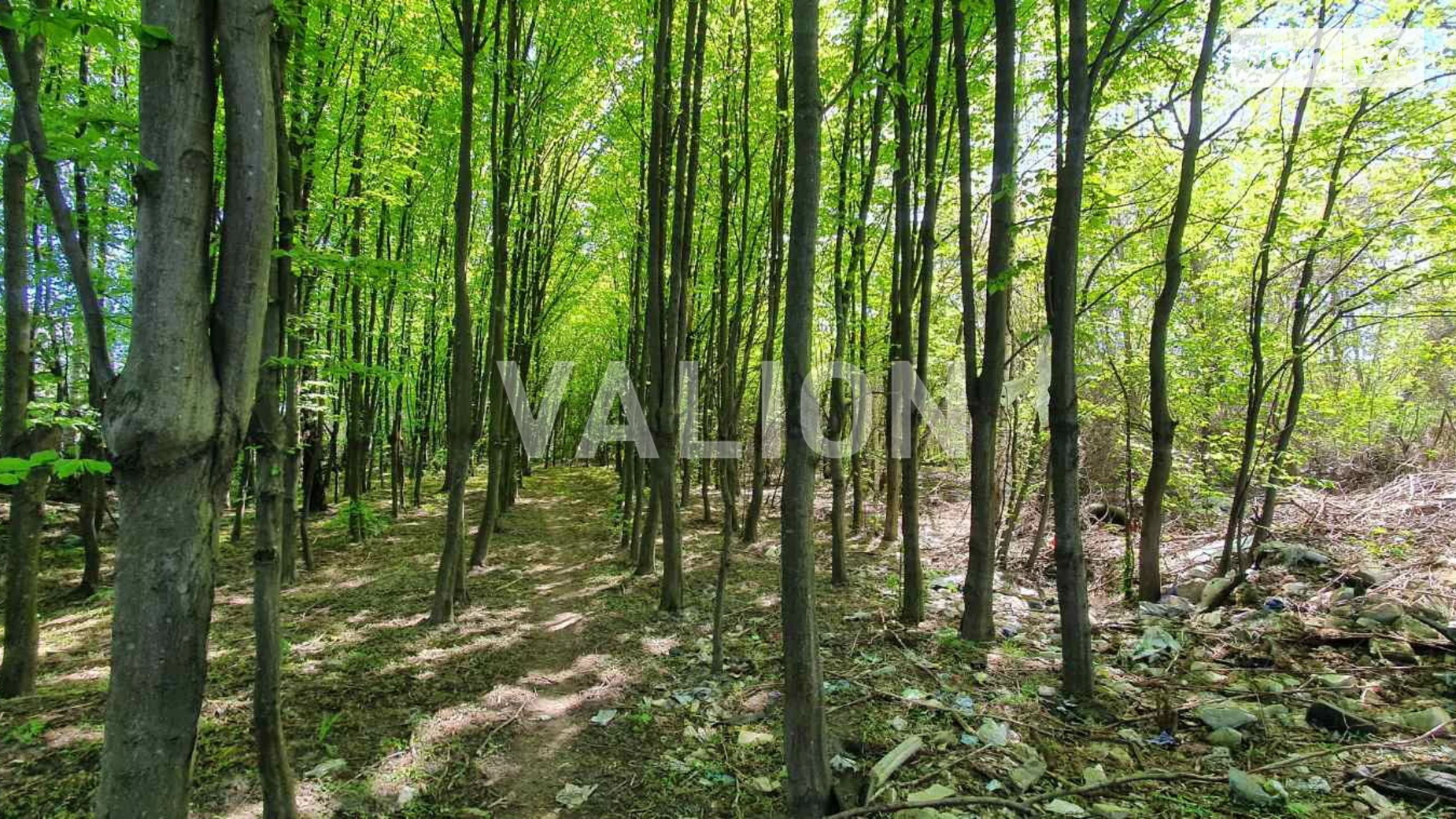 ул. Жулянская Теремки-1 Киев Теремки, цена: 430000 $ - фото 4