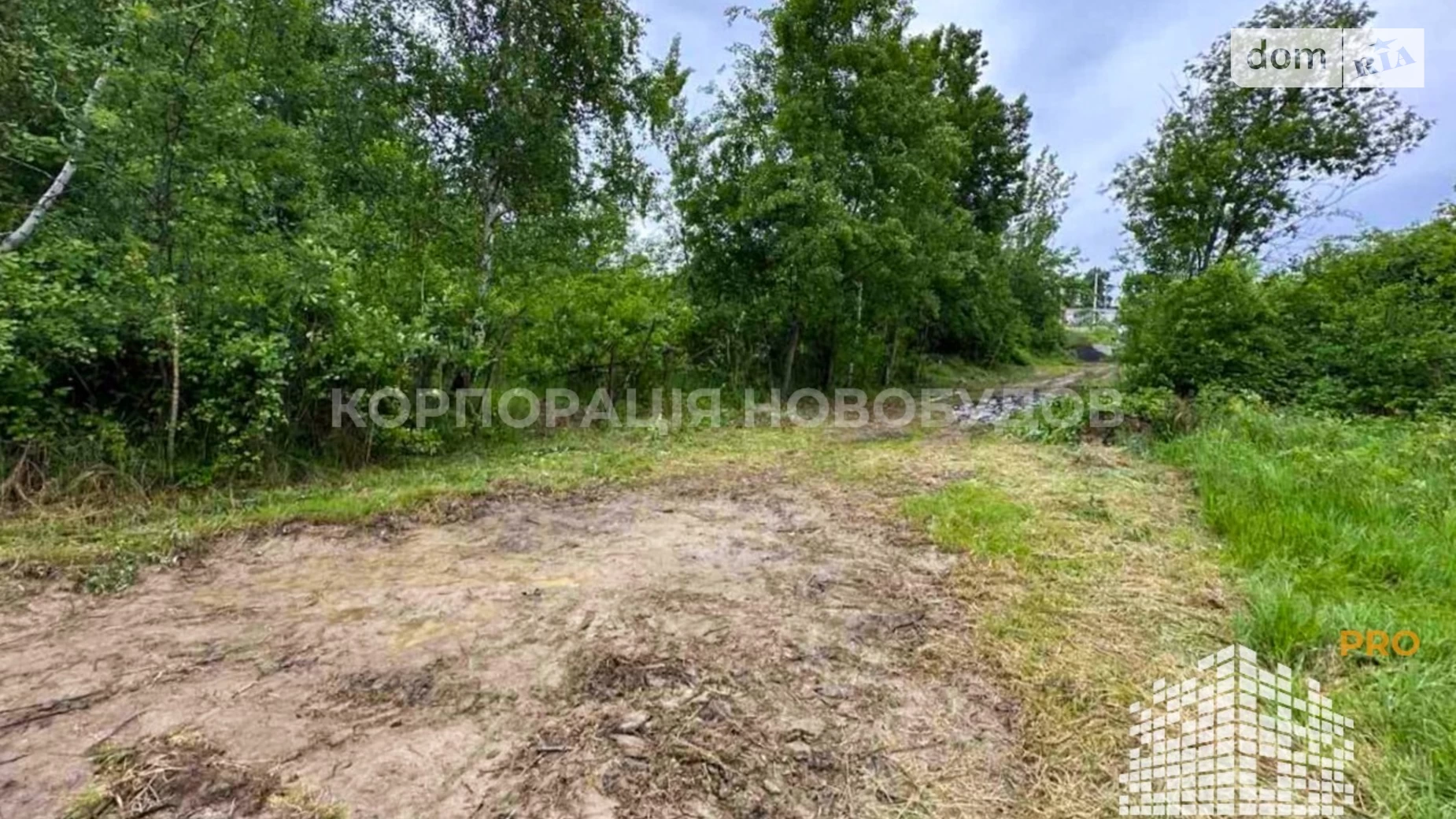 Продается земельный участок 6 соток в Закарпатской области, цена: 30000 $ - фото 4