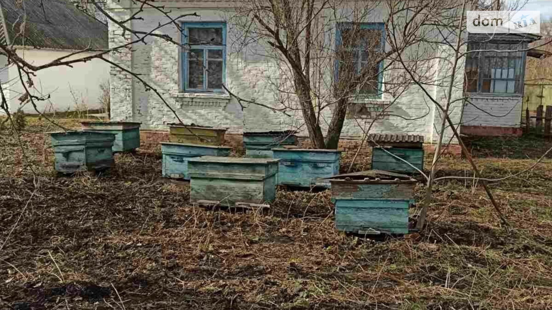 Продается одноэтажный дом 61 кв. м с подвалом, цена: 9600 $ - фото 4
