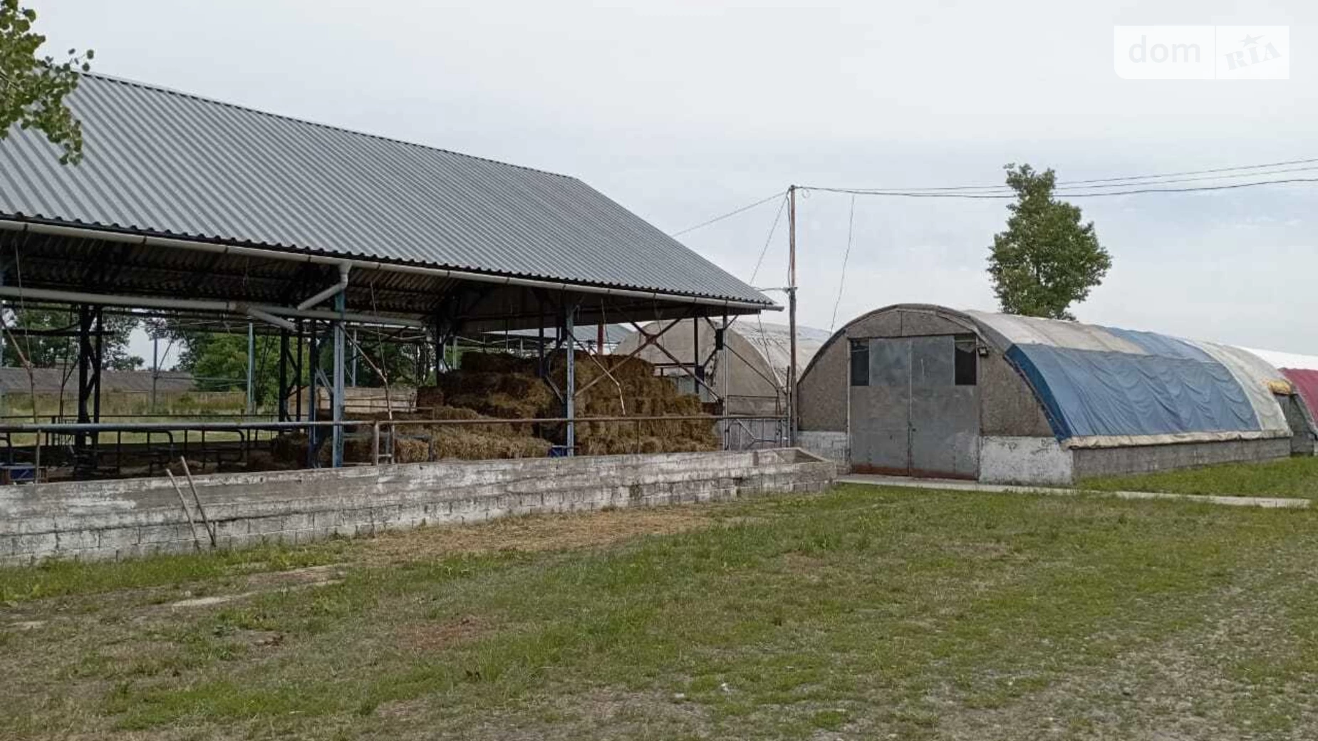 Продается объект сферы услуг 1700 кв. м в 1-этажном здании, цена: 100000 $ - фото 4