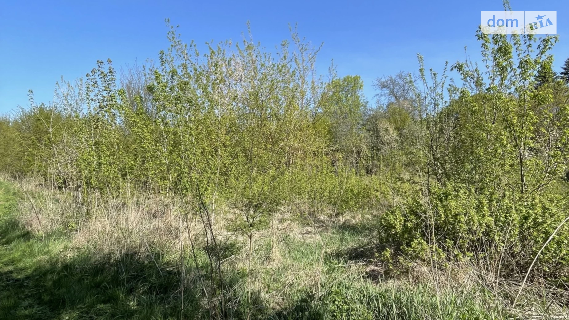 Романівка (Тернопіль), цена: 2500 $ - фото 4