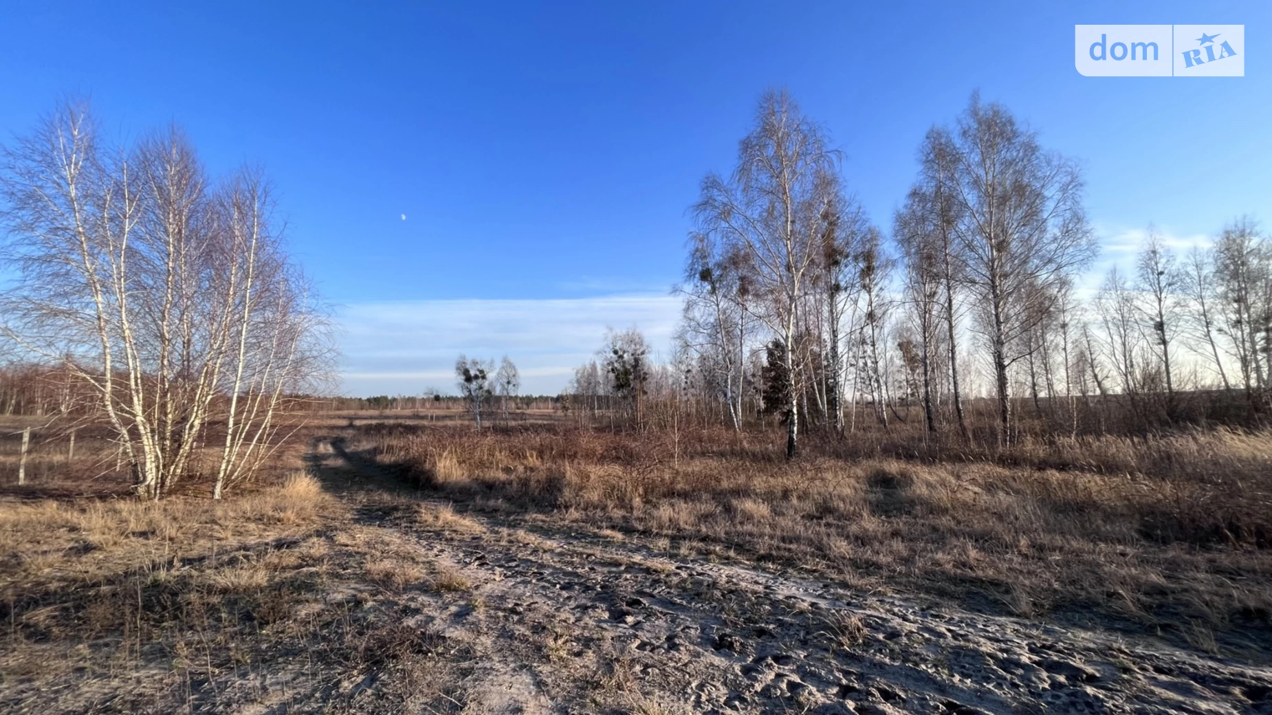 Мироцьке, цена: 20000 $ - фото 4