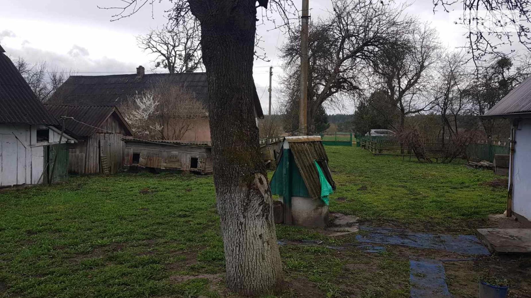 Продается одноэтажный дом 69.1 кв. м с участком, цена: 15000 $ - фото 3