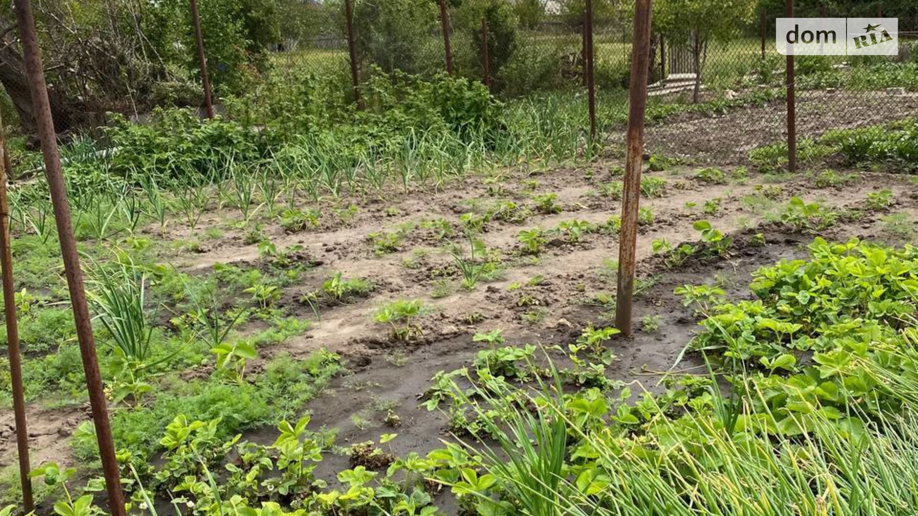 Продається будинок 3 поверховий 162.8 кв. м с басейном, цена: 46000 $ - фото 5