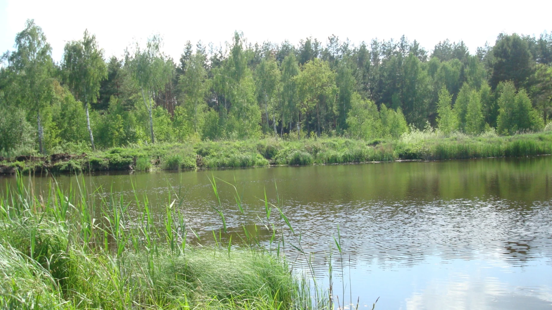 Продається земельна ділянка 6.05 соток у Київській області, цена: 6500 $ - фото 4