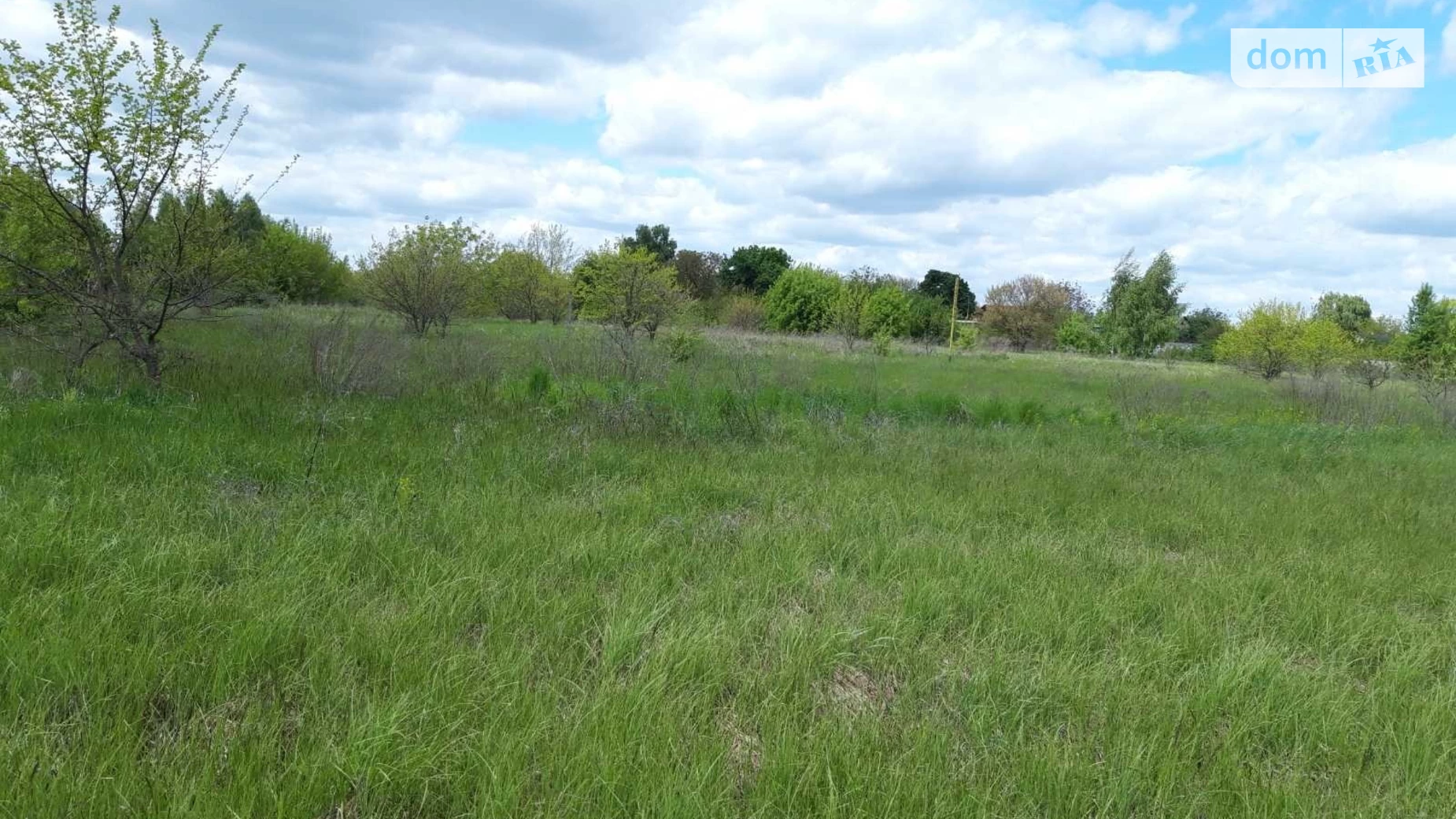ул. Приморская Ясногородка (Вышгород), цена: 350000 $ - фото 3