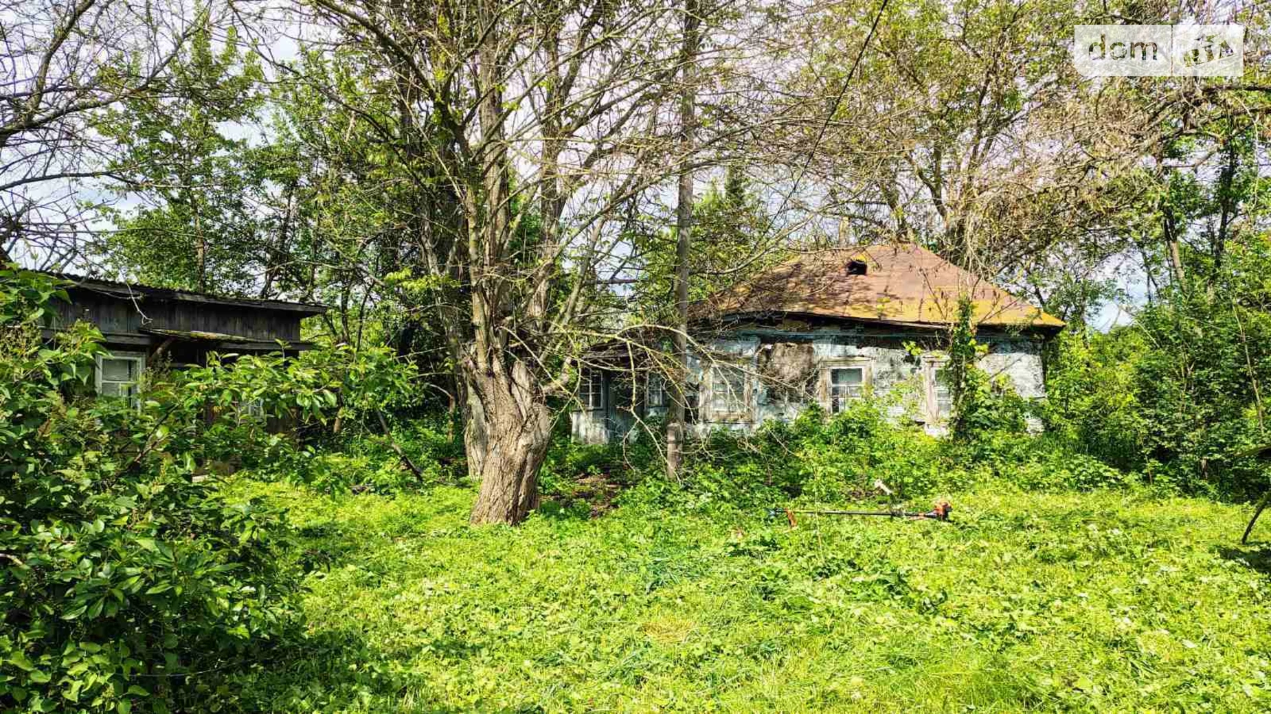 ул. Василия Симиренко(Мичурина) Малая Старица (Борисполь), цена: 24000 $ - фото 2