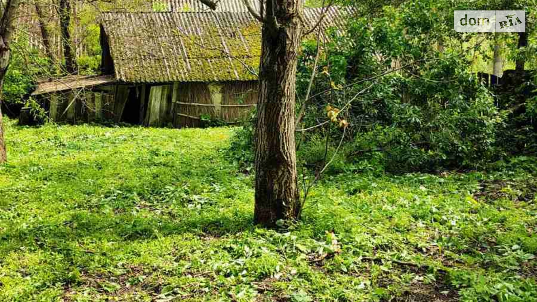 ул. Василия Симиренко(Мичурина) Малая Старица (Борисполь), цена: 24000 $ - фото 4