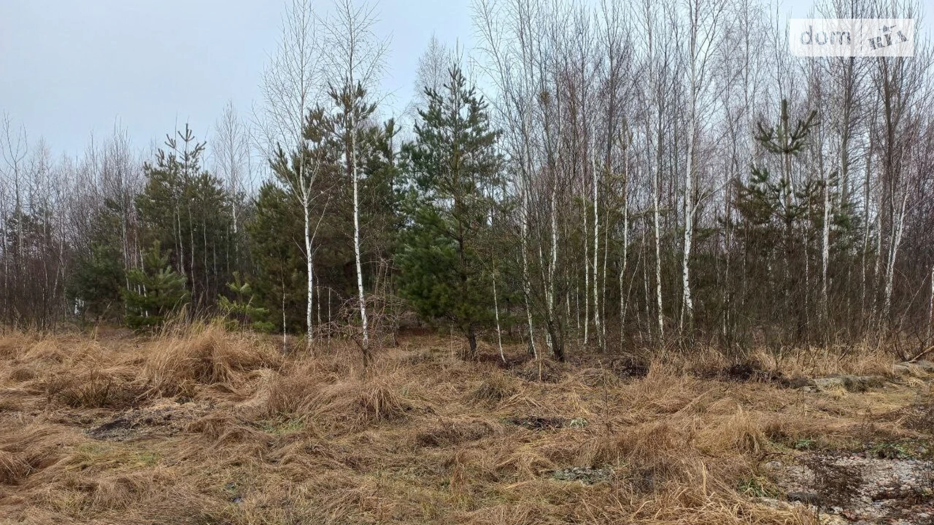 Продается земельный участок 11.77 соток в Житомирской области, цена: 3000 $ - фото 3