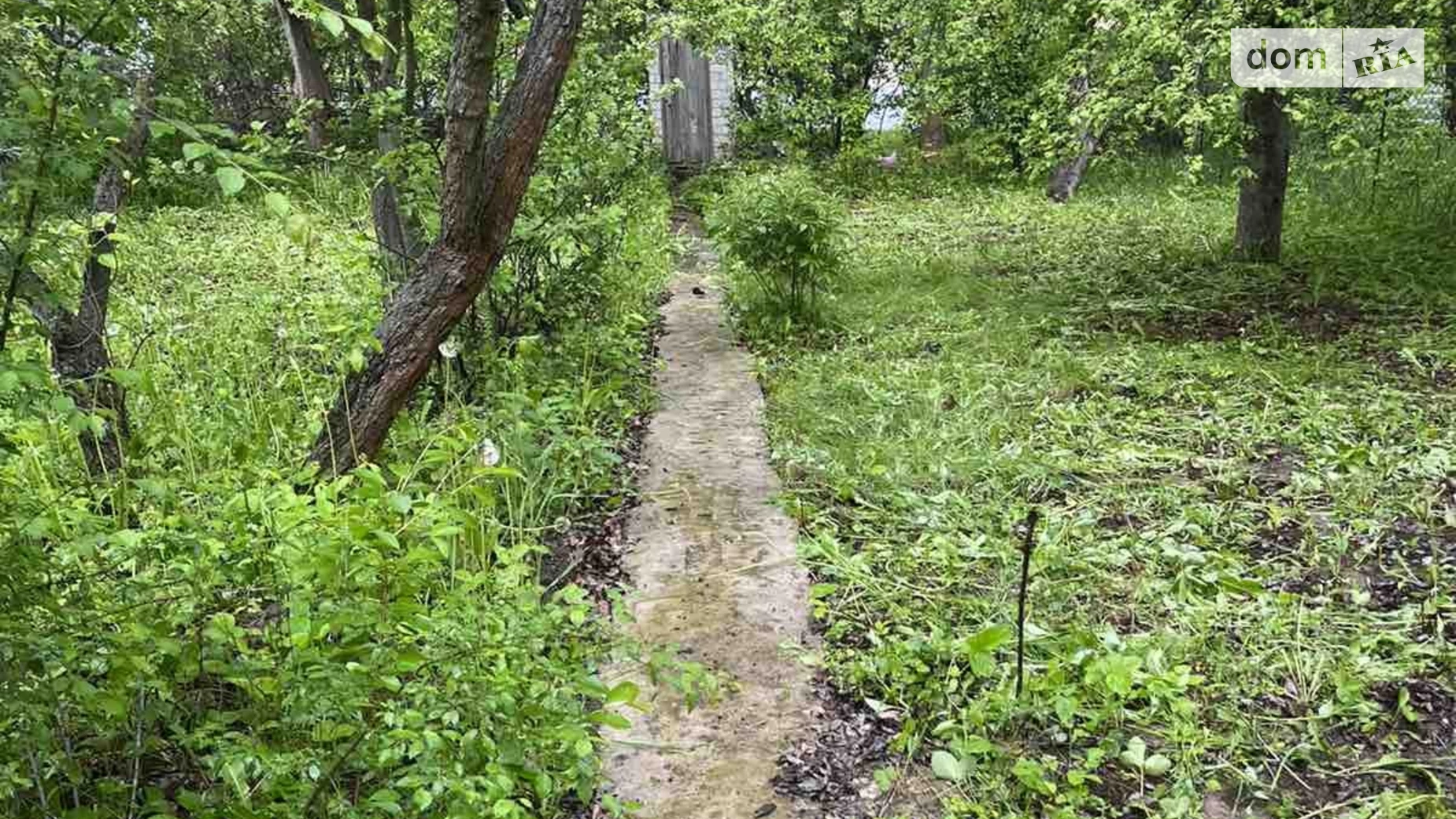 Продається одноповерховий будинок 35 кв. м з садом, цена: 18000 $ - фото 3