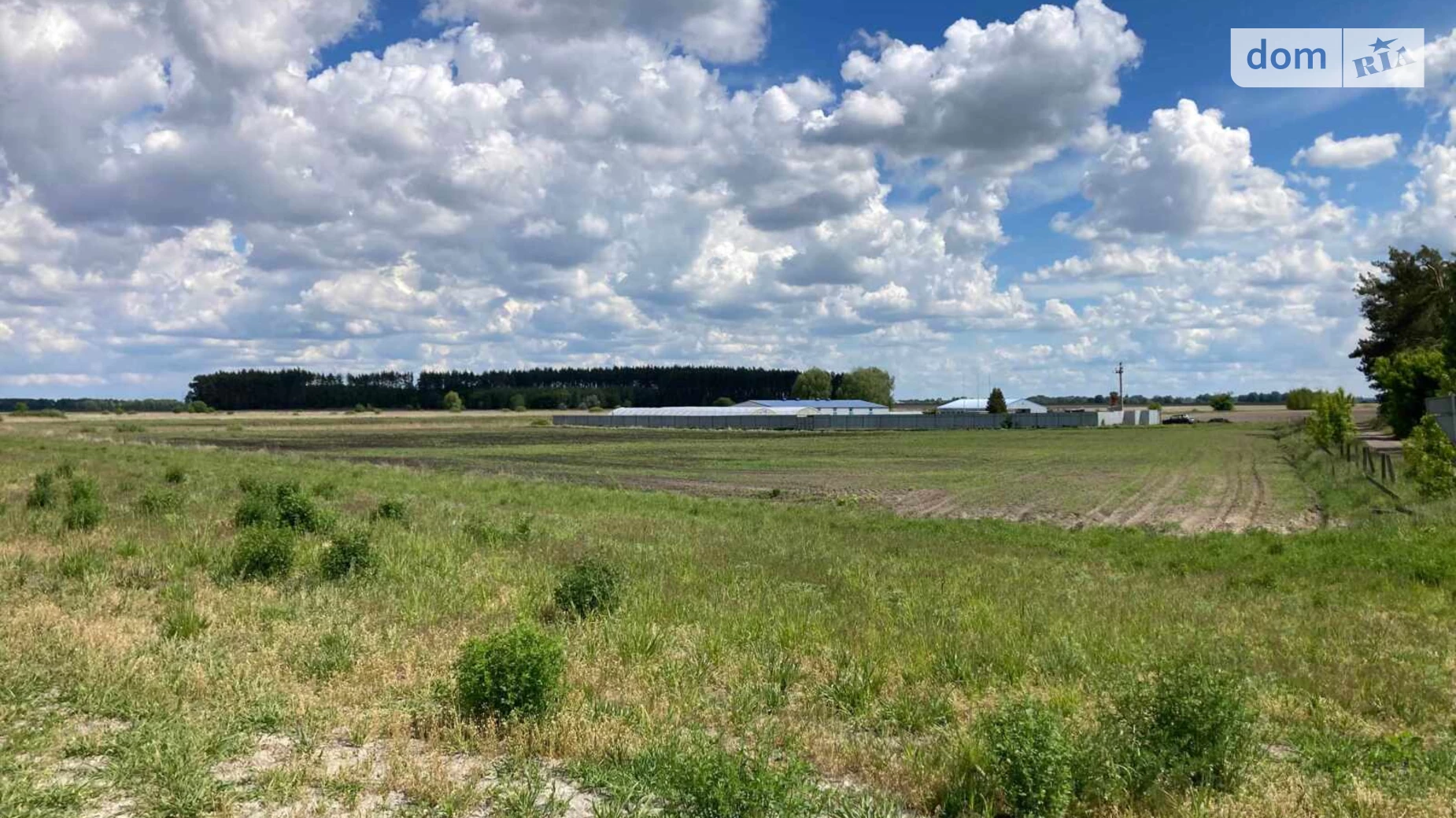 Траса Київ-Харків Іванків (Бориспіль), цена: 176000 $ - фото 2