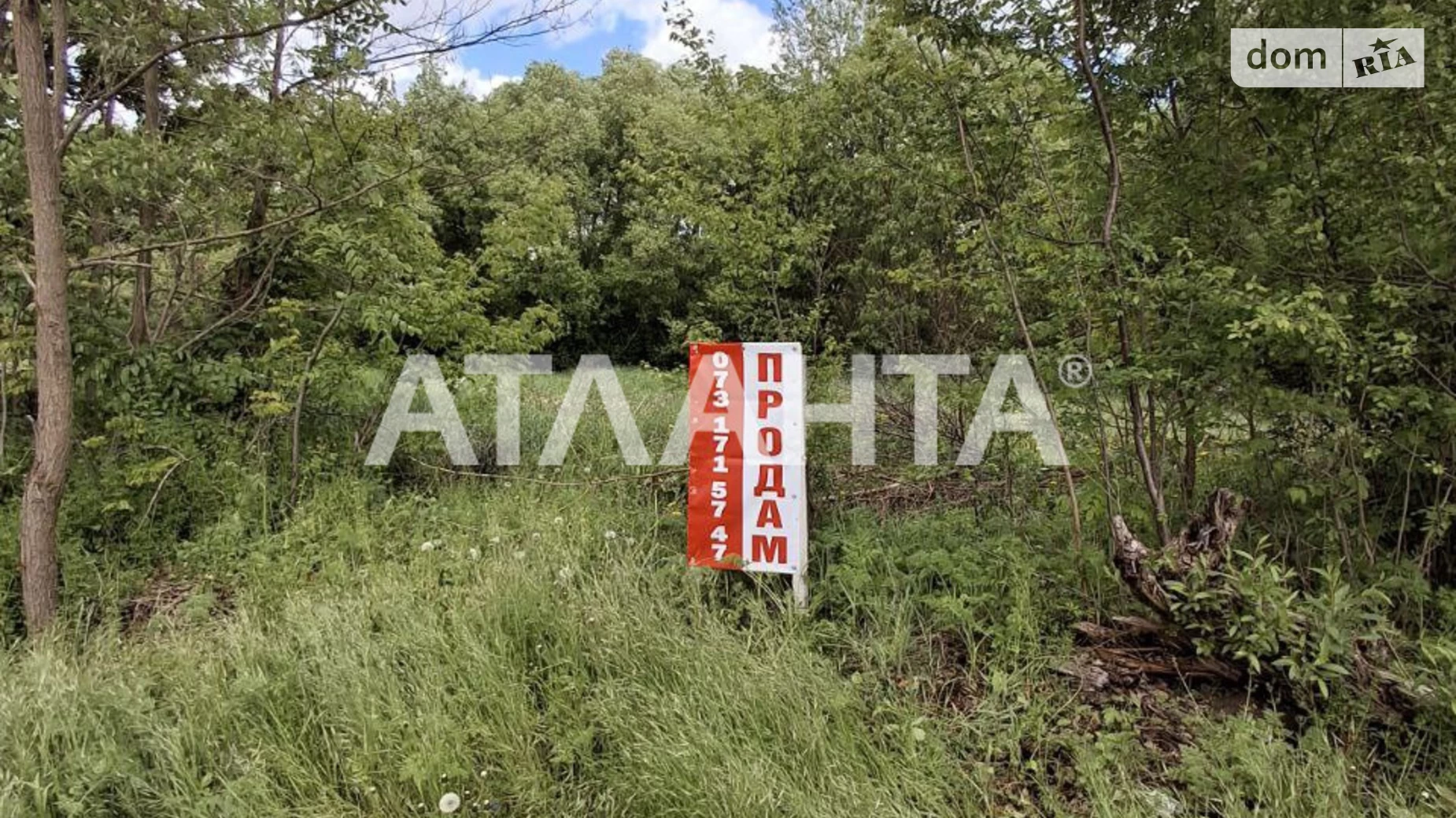 Ксаверівка, цена: 10000 $ - фото 2