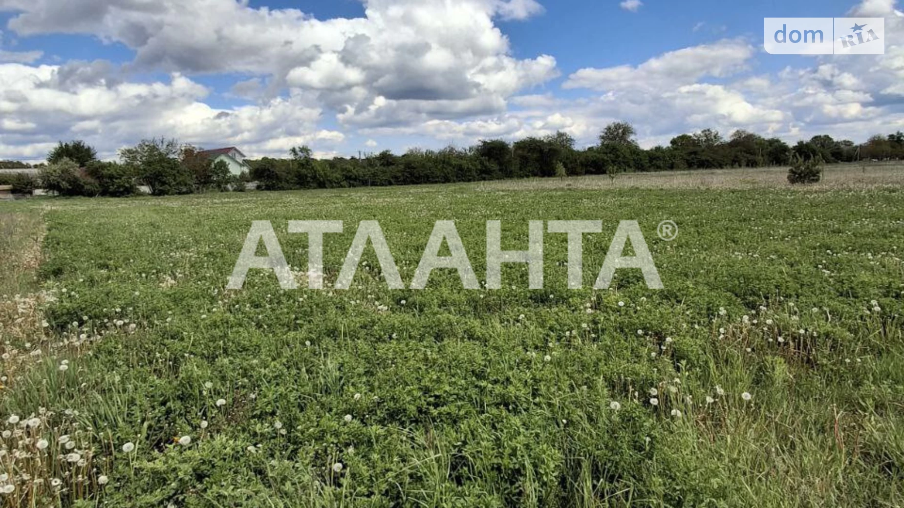 вулиця Соборна Ксаверівка, цена: 7000 $ - фото 2