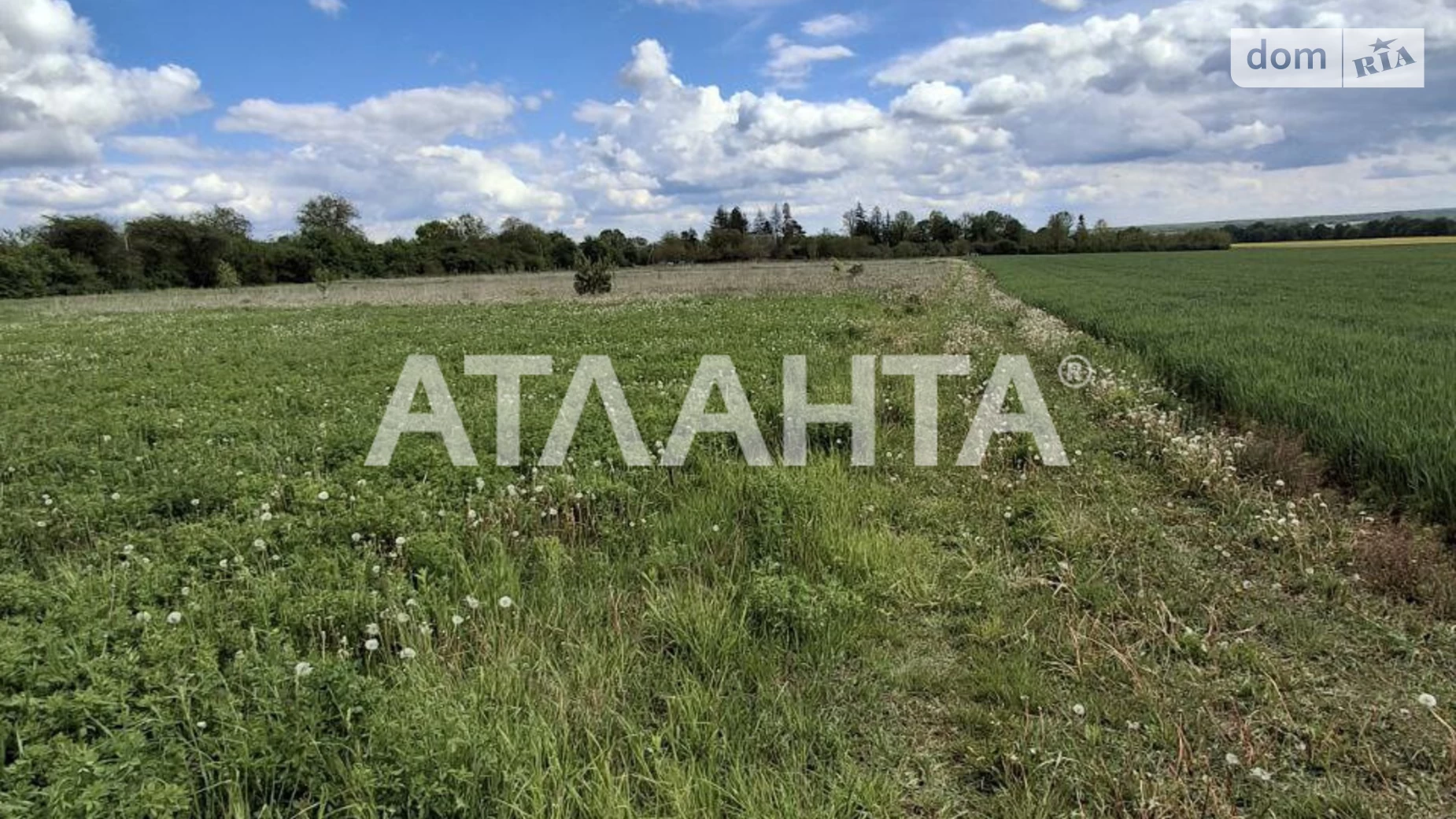 вулиця Соборна Ксаверівка, цена: 7000 $ - фото 4