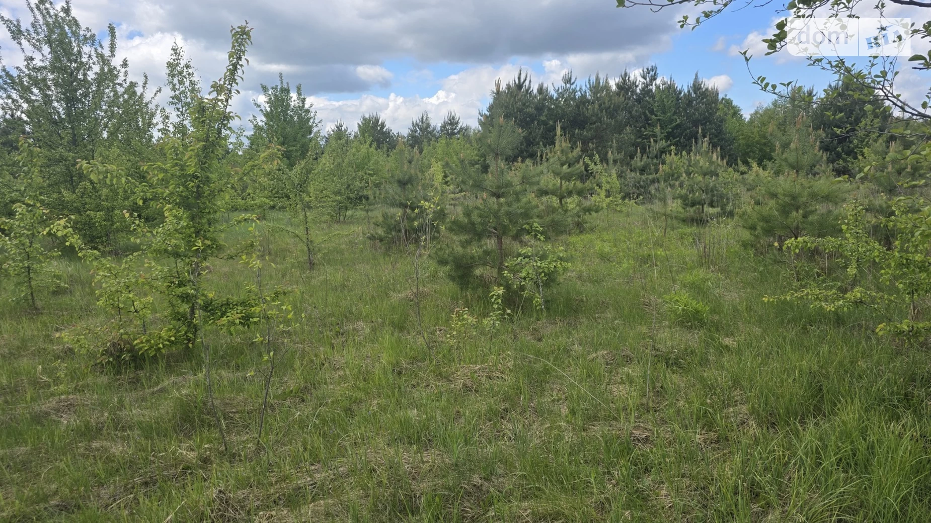 Продається земельна ділянка 8 соток у Житомирській області, цена: 8300 $ - фото 3