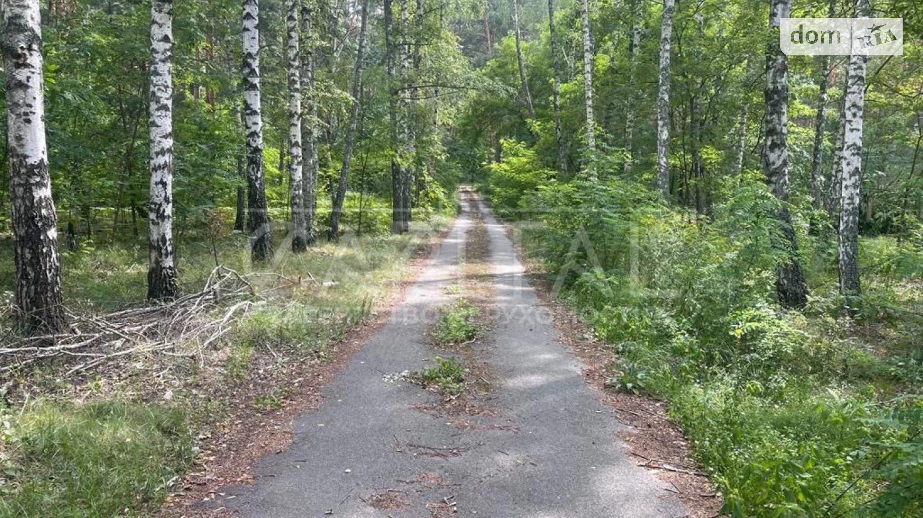 Вишгородський Лютіж, цена: 75000 $ - фото 2