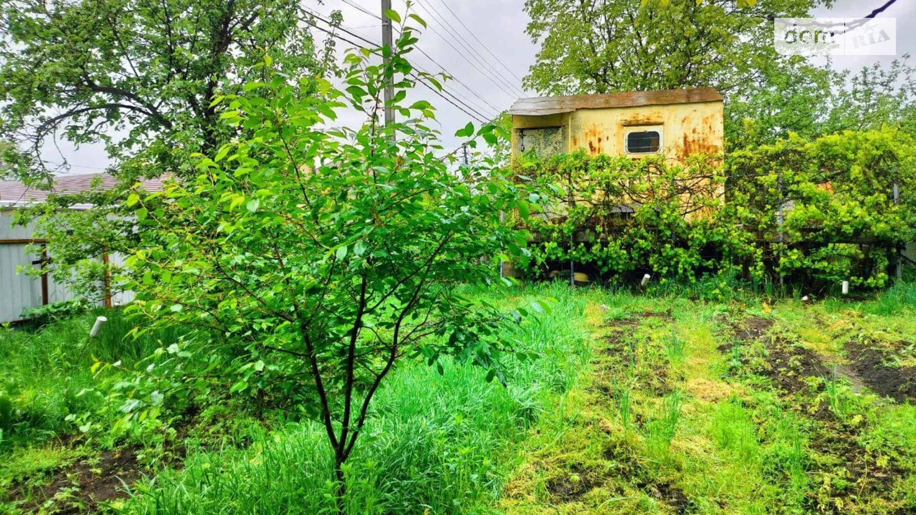 Осокорки Київ, цена: 60000 $ - фото 4