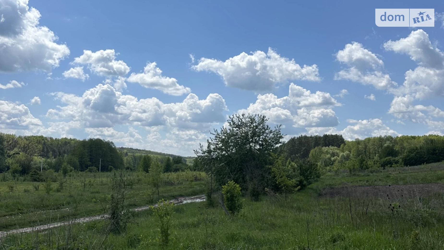 вул. Дачна Прибузьке, цена: 84000 $ - фото 4