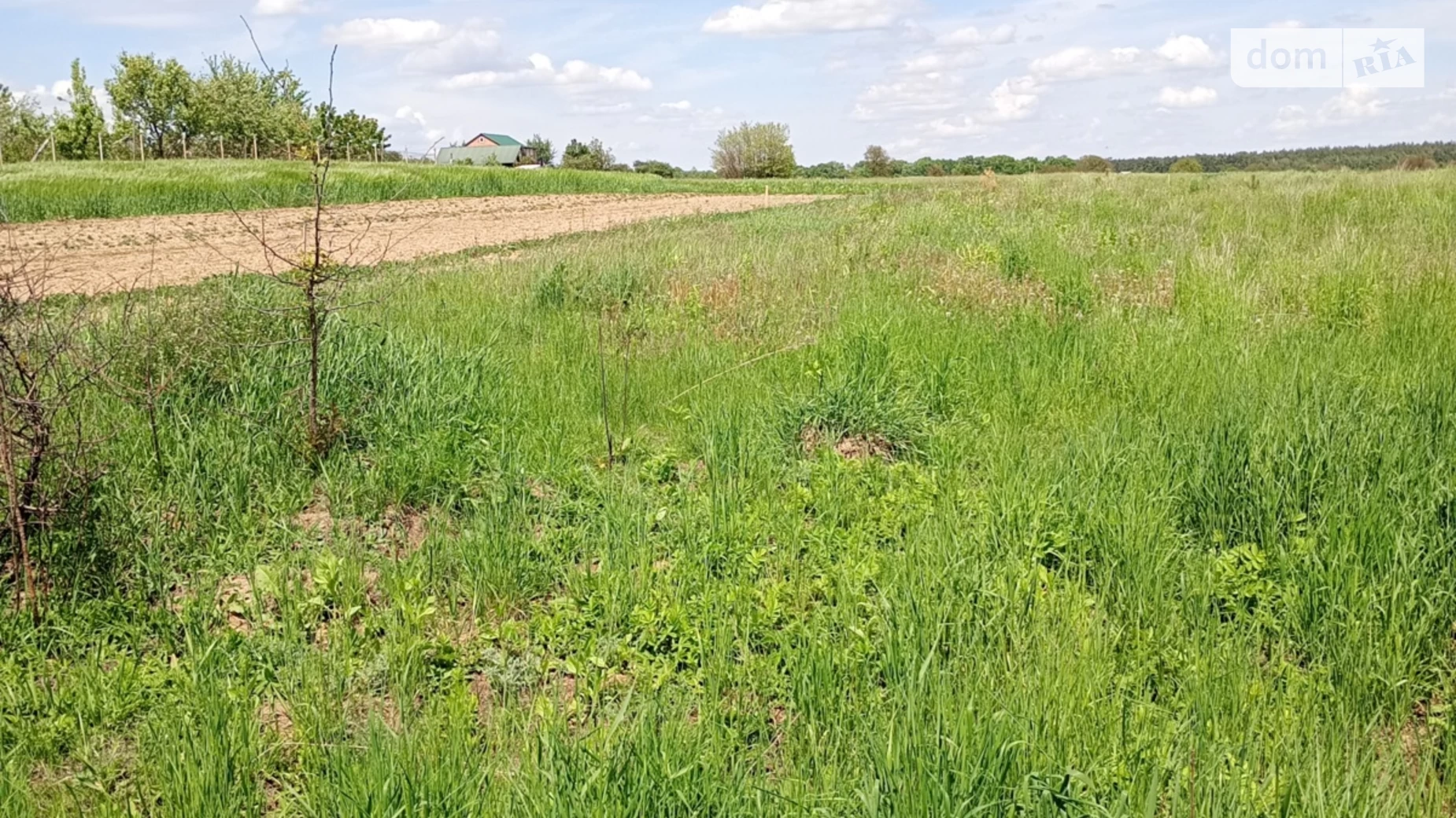 Продається земельна ділянка 12 соток у Вінницькій області, цена: 36000 $ - фото 3